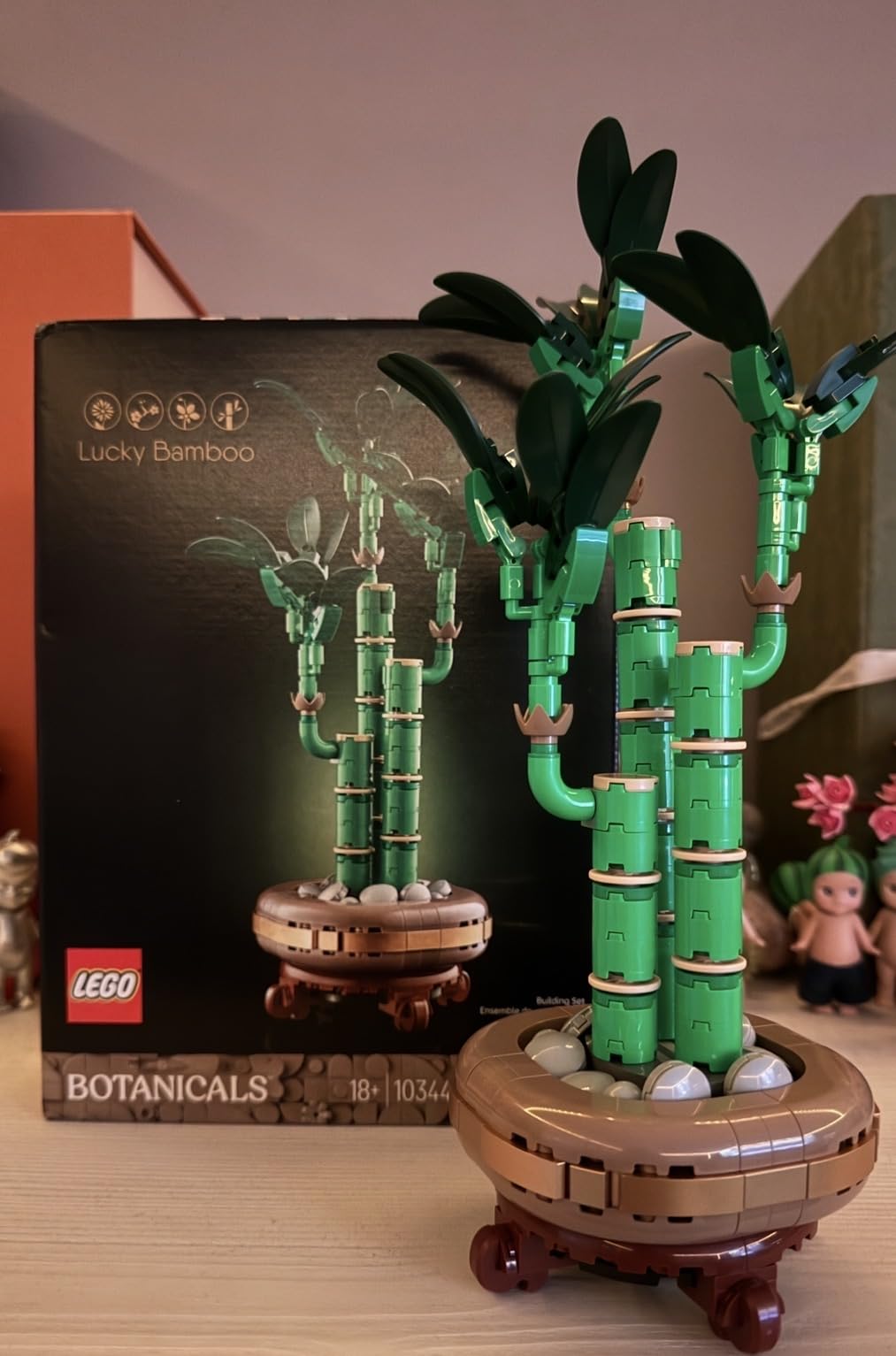 LEGO Botanicals Lucky Bamboo Building Set - Artificial Plant for Indoor Home Décor, Adults Ages 18+ - Fake Plant Decoration for Table, Desk, Office - Gift for Birthdays - 10344 - Customer Photo 4