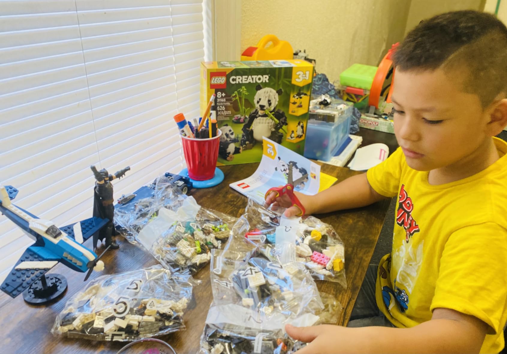 LEGO Creator 3 in 1 Wild Animals Panda Family - Building Toy Kit for Kids with 3 Building Options, Panda, Penguin, or Orca - 8 Year Old Girl & Boy Birthday Gifts - 31165 - Customer Photo 1