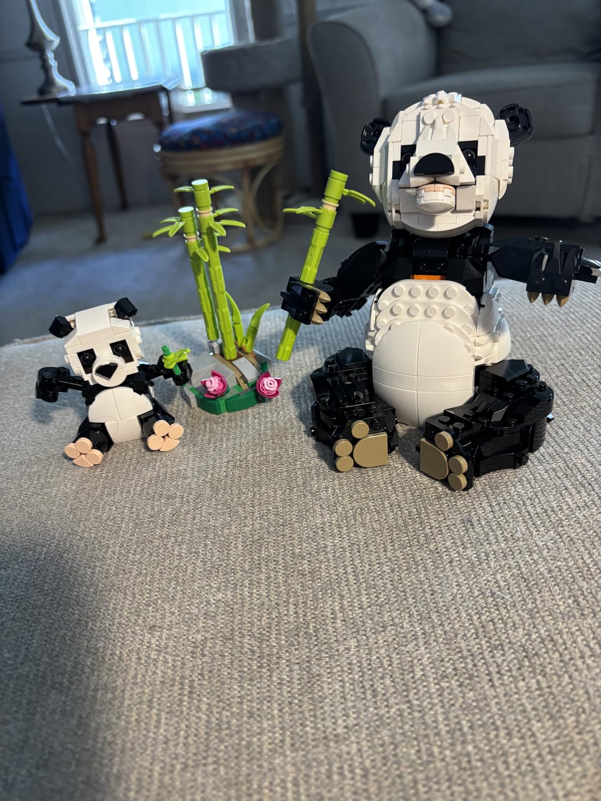 LEGO Creator 3 in 1 Wild Animals Panda Family - Building Toy Kit for Kids with 3 Building Options, Panda, Penguin, or Orca - 8 Year Old Girl & Boy Birthday Gifts - 31165 - Customer Photo 2