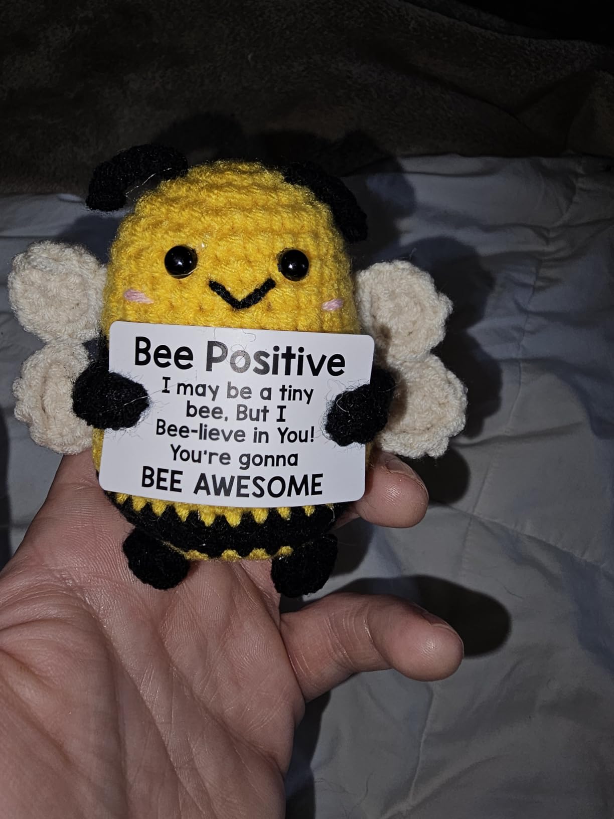 LEJIAJINW Positive Crochet Bee Christmas Birthday Gift for Women Men, Teacher Christmas Appreciation Boss Nurse Gifts, Funny Office Decor Halloween Thanksgiving Encouragement Bees Present for Mom/Dad - Customer Photo 1