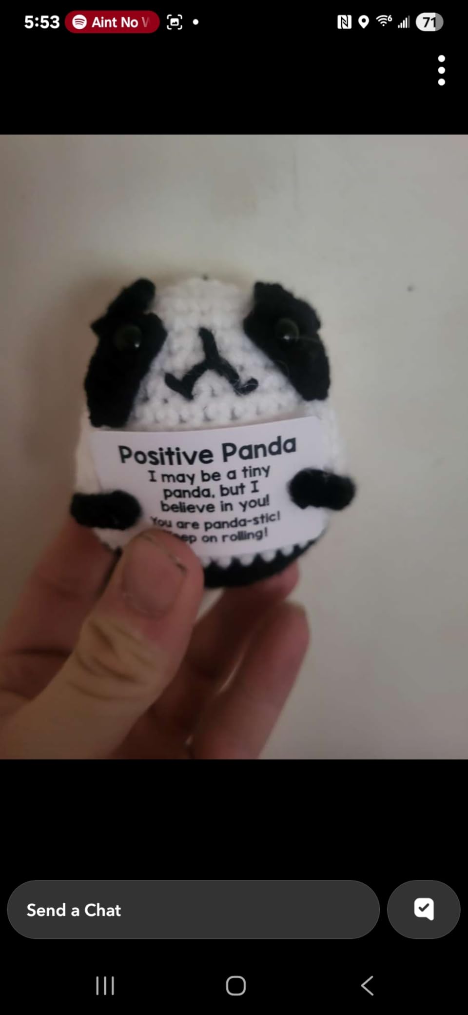 Mini Panda White Elephant Gifts for Adults Women Men Christmas Stocking Stuffers for Teen Girls Boys Kids, Birthday Gifts Emotional Motivational Support Positive Crochet Animals Handmade Panda Decor - Customer Photo 2