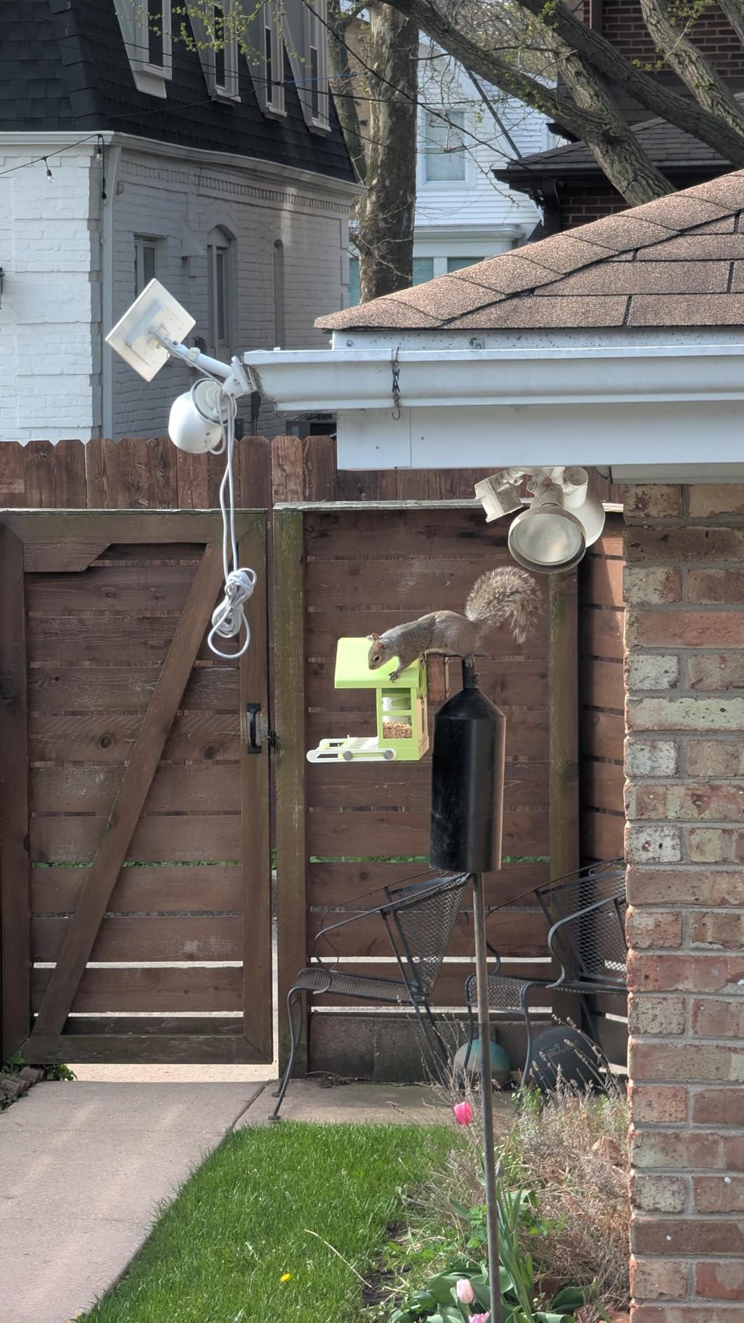 Birdfy Smart Bird Feeder with Camera, Durable Metal Feeders for Outdoors, Auto-Identify & Record Video, Instant Alert, Live Bird Watching Camera Solar, Gifts for Backyard Birder (AI Lifetime Free) - Customer Photo 2