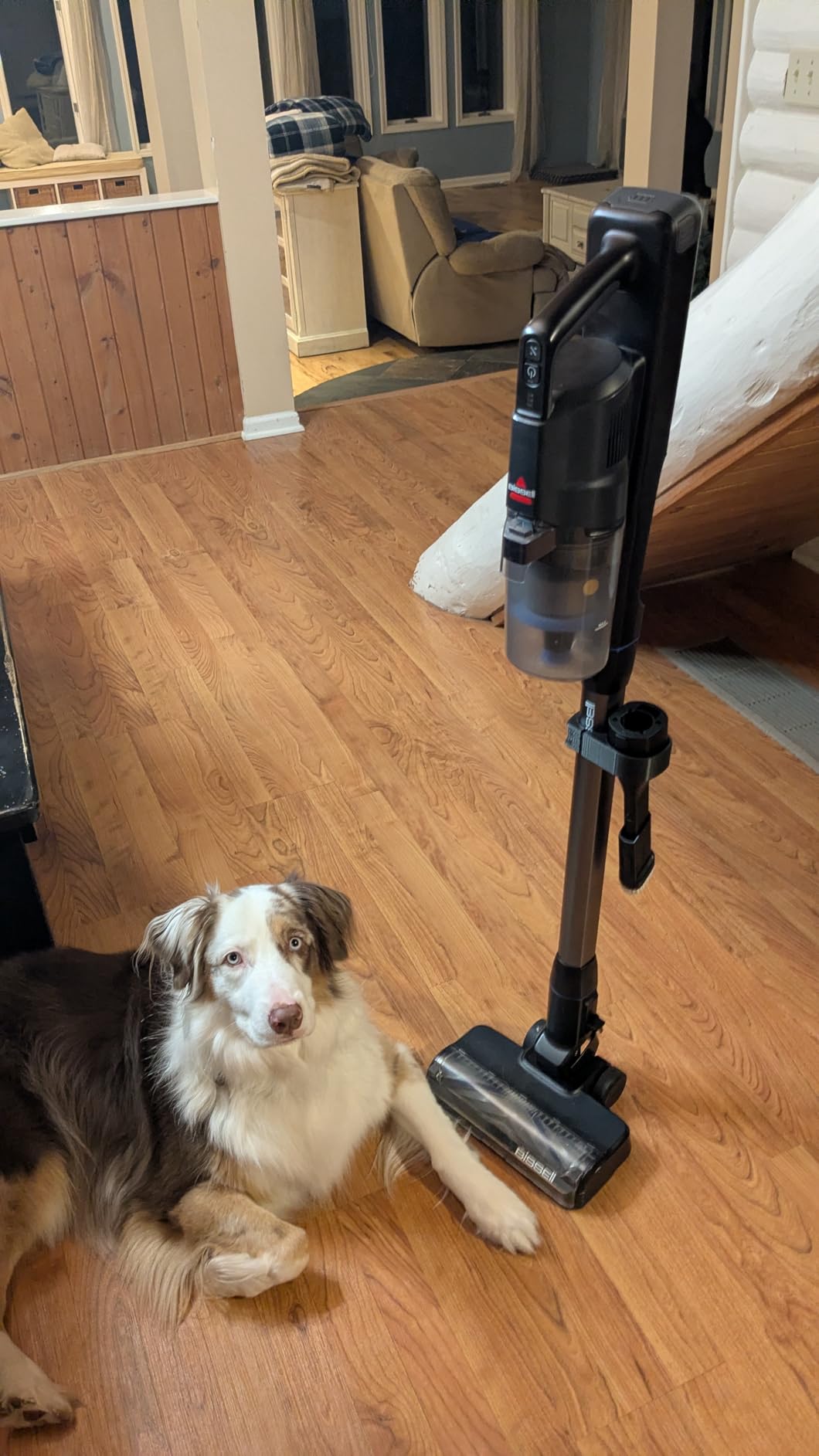 Bissell PowerClean FurFinder 200W Self-Standing Cordless Vacuum w/Tangle Free Brush Roll, Strong Suction, Removeable Battery, Wall Mount, Upholstery Tool & Bright Headlights - Customer Photo 3