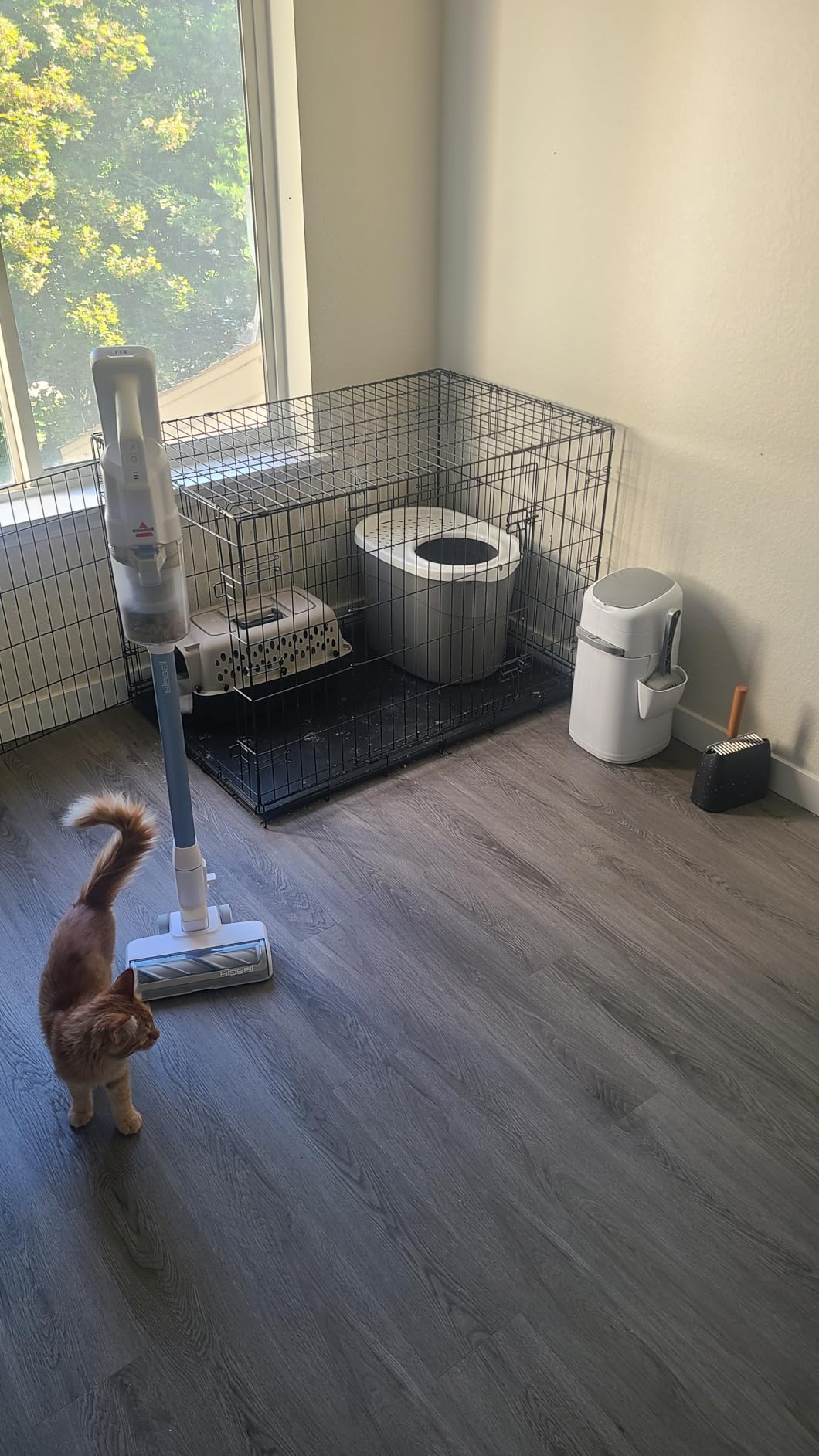 Bissell PowerClean FurFinder 200W Self-Standing Cordless Vacuum w/Tangle Free Brush Roll, Strong Suction, Removeable Battery, Wall Mount, Upholstery Tool & Bright Headlights - Customer Photo 5