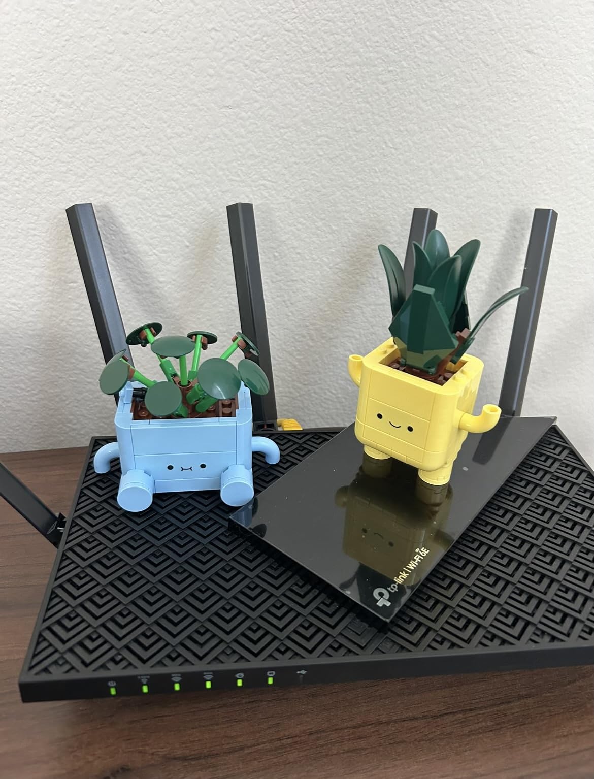 LEGO Botanicals Happy Plants Building Toys - Bedroom or Dorm Room Decor for Girls, Boys, & Adults, Desk or Shelf Display - Stocking Stuffers & Gift for Christmas - 10349 - Customer Photo 3