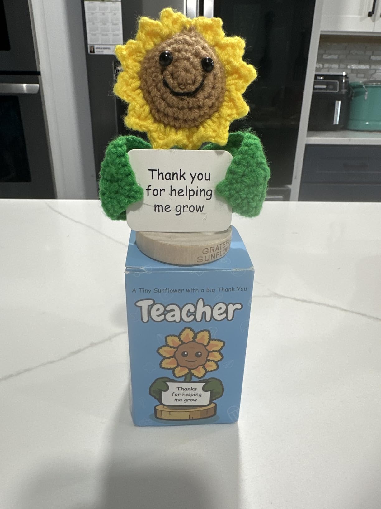 Gift for Principals - Positive Crochet Potato with 30 Swappable Appreciation Signs - Funny Principal Gifts for Women and Men for Birthday, Christmas Stocking Stuffers, Thank You, New Job, Retirement - Customer Photo 3