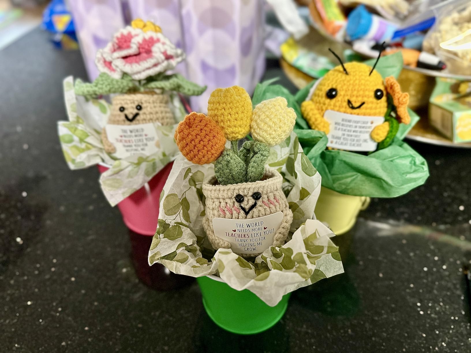 OASSIE Christmas Teacher Gifts for Women - Mini Positive Apple Crochet with Card - Appreciation Thank You Stocking Stuffers Birthday End of Year Gifts for Teacher, Graduation School Students Women - Customer Photo 2