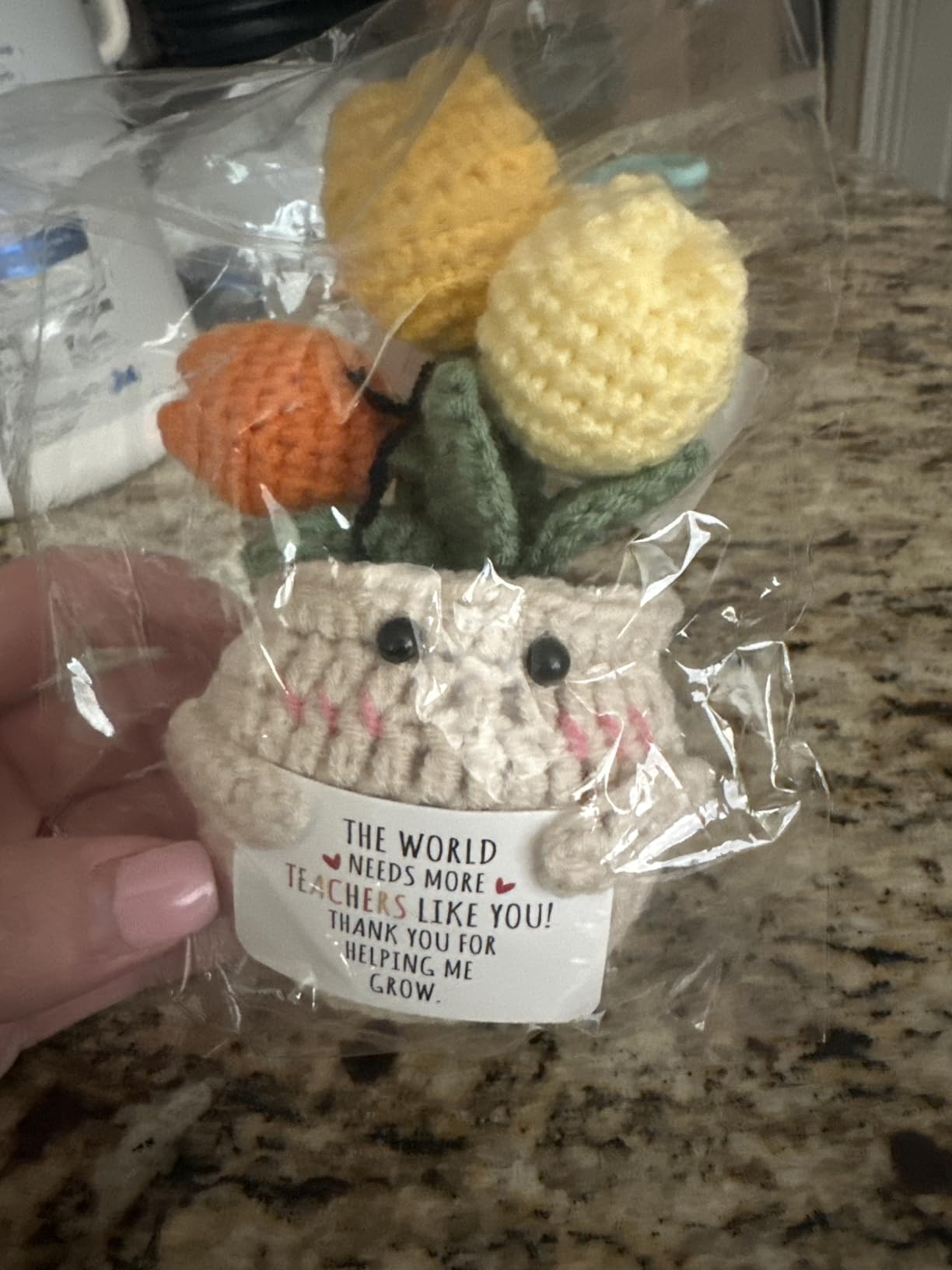 OASSIE Christmas Teacher Gifts for Women - Mini Positive Apple Crochet with Card - Appreciation Thank You Stocking Stuffers Birthday End of Year Gifts for Teacher, Graduation School Students Women - Customer Photo 3