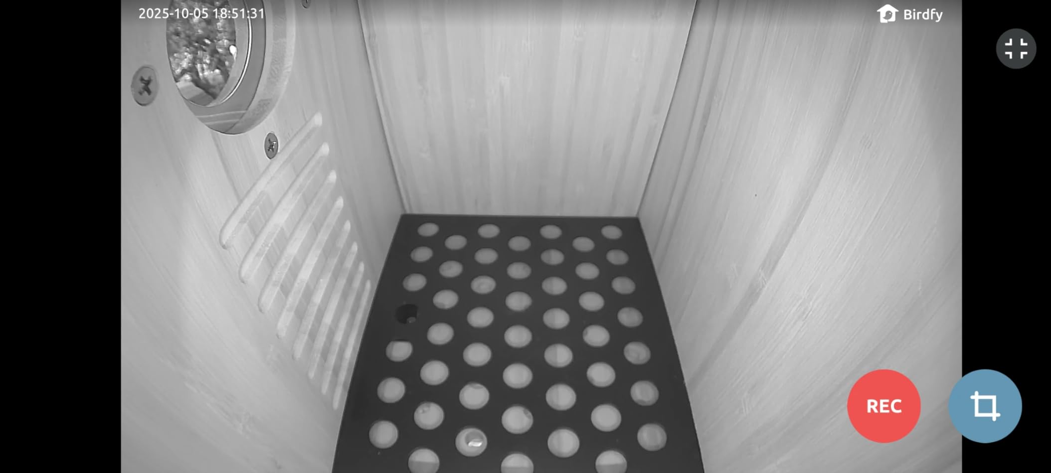 Smart Bird Houses for Outside, Solar Powered, 1080P FHD Live Stream Bird House with Camera, Wild Bird Nesting and Hatching, Blue Bird House with Camera Inside, Ideal Gift - Customer Photo 1