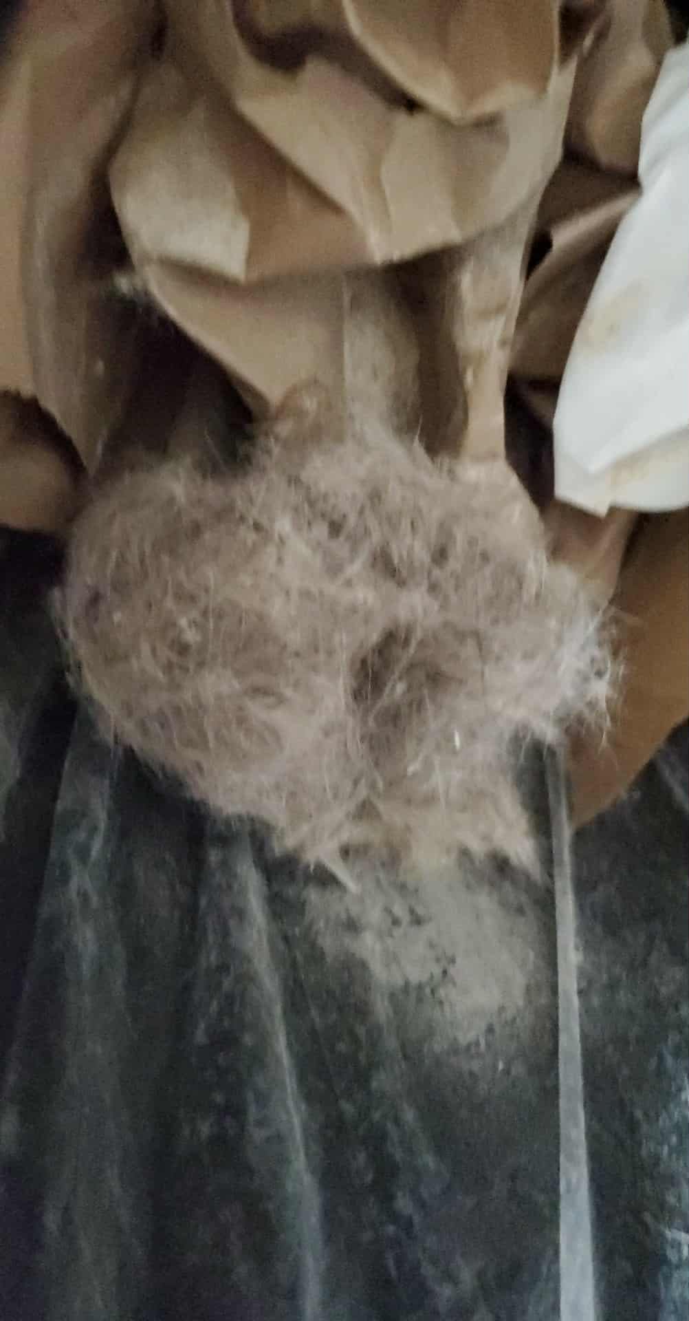 Bissell PowerClean 200W Self-Standing Cordless Vacuum w/Tangle Free Brush Roll, Removeable Battery, Wall Mount, Upholstery Tool & Bright Headlights, 4173 - Customer Photo 4