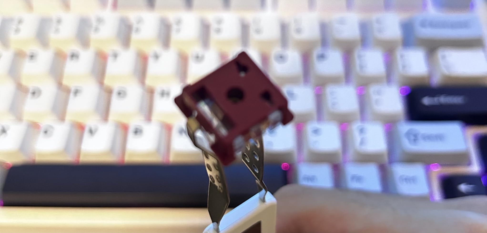 GK GAMAKAY TK75 HE Rapid Trigger Wireless Gaming Keyboard Hall Effect Hot-swap Magnetic Switch, Snap Tap, 81 Keys Bluetooth/2.4GHz/Wired 75% RGB Esports Gaming Keyboard (Magnetic Mercury Switch) Customer Review GK GAMAKAY TK75 HE Rapid Trigger Wireless Gaming Keyboard Hall Effect Hot-swap Magnetic Switch, Snap Tap, 81 Keys Bluetooth/2.4GHz/Wired 75% RGB Esports Gaming Keyboard (Magnetic Mercury Switch) - Customer Photo 1