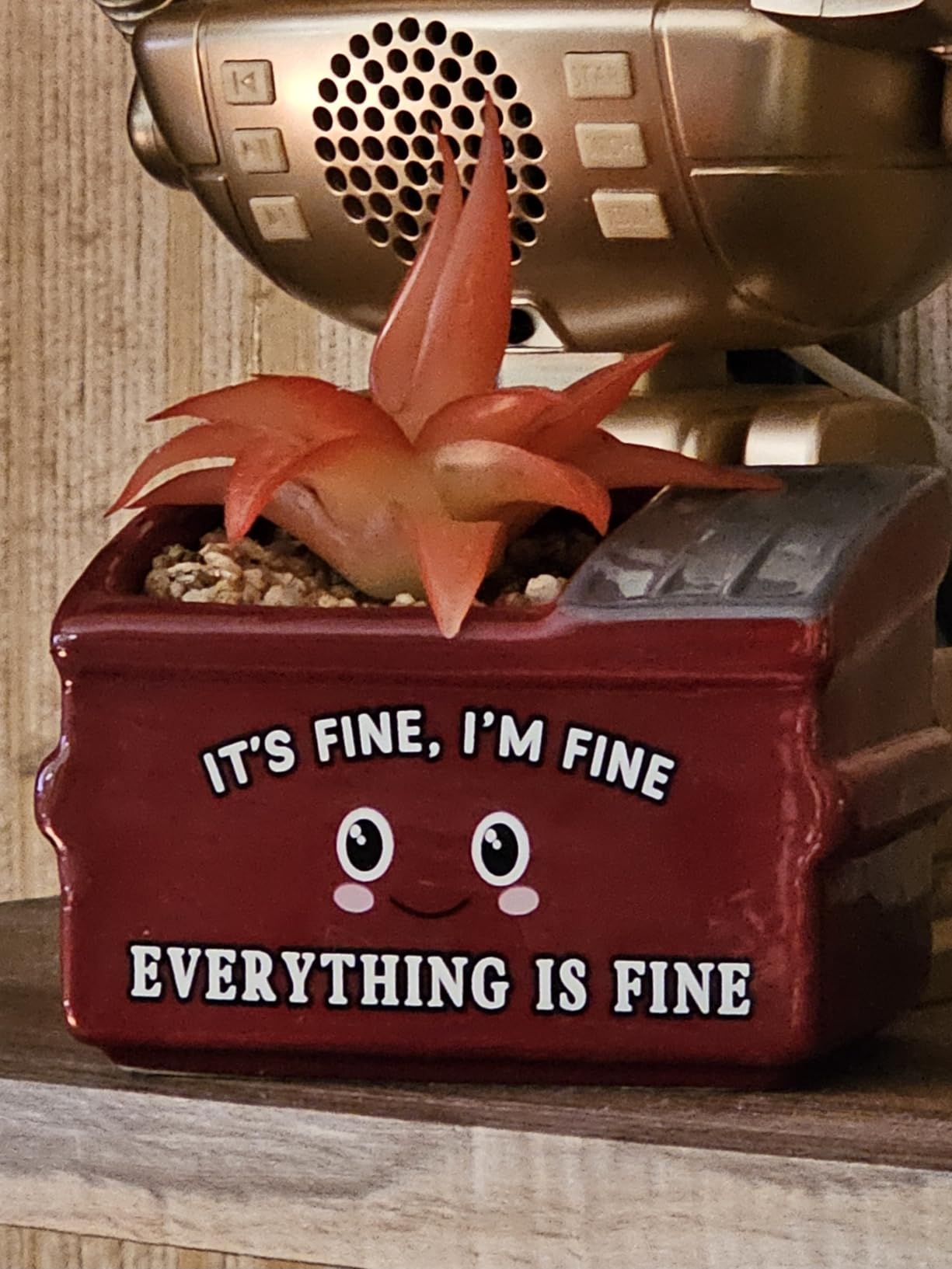 YINUOWEI Emotional Support Dumpster Fire Ceramic Planter, Succulent Pots & Small Plant Pots for Desk Decor, Dumpster Fire Desk Accessories, Funny Gifts for Women, Men, Friends, Colleagues - Customer Photo 1