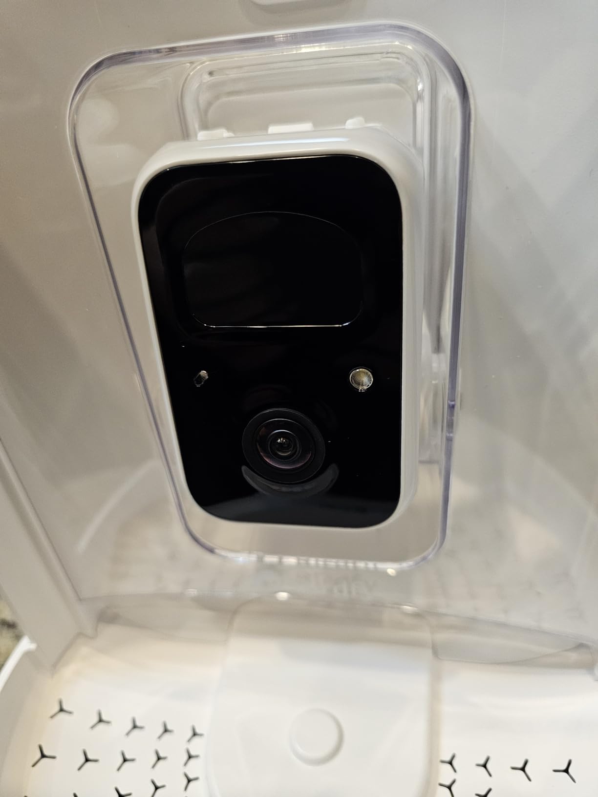 Birdfy Smart Feeder with Camera, AI Bird Identification, Auto Record & Alerts, Color Night Vision, 1080P FHD Live Streaming for Outdoor Backyard Birdwatching, Ideal Gift for Wildlife & Nature Lovers Customer Review Birdfy Smart Feeder with Camera, AI Bird Identification, Auto Record & Alerts, Color Night Vision, 1080P FHD Live Streaming for Outdoor Backyard Birdwatching, Ideal Gift for Wildlife & Nature Lovers - Customer Photo 4