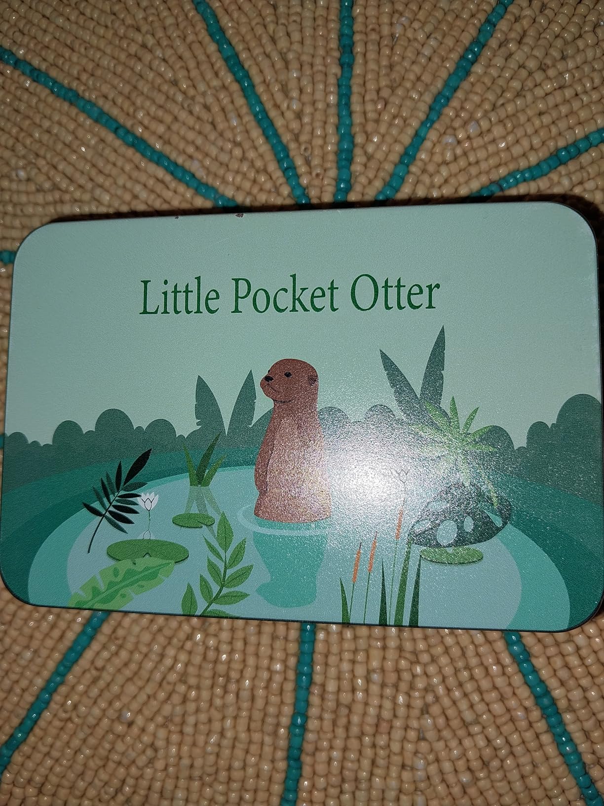 Little Pocket Otter, Cute Otter Friend in Tin Box, Travel Buddy, Gift for Kids, Friends, Coworkers - Customer Photo 4