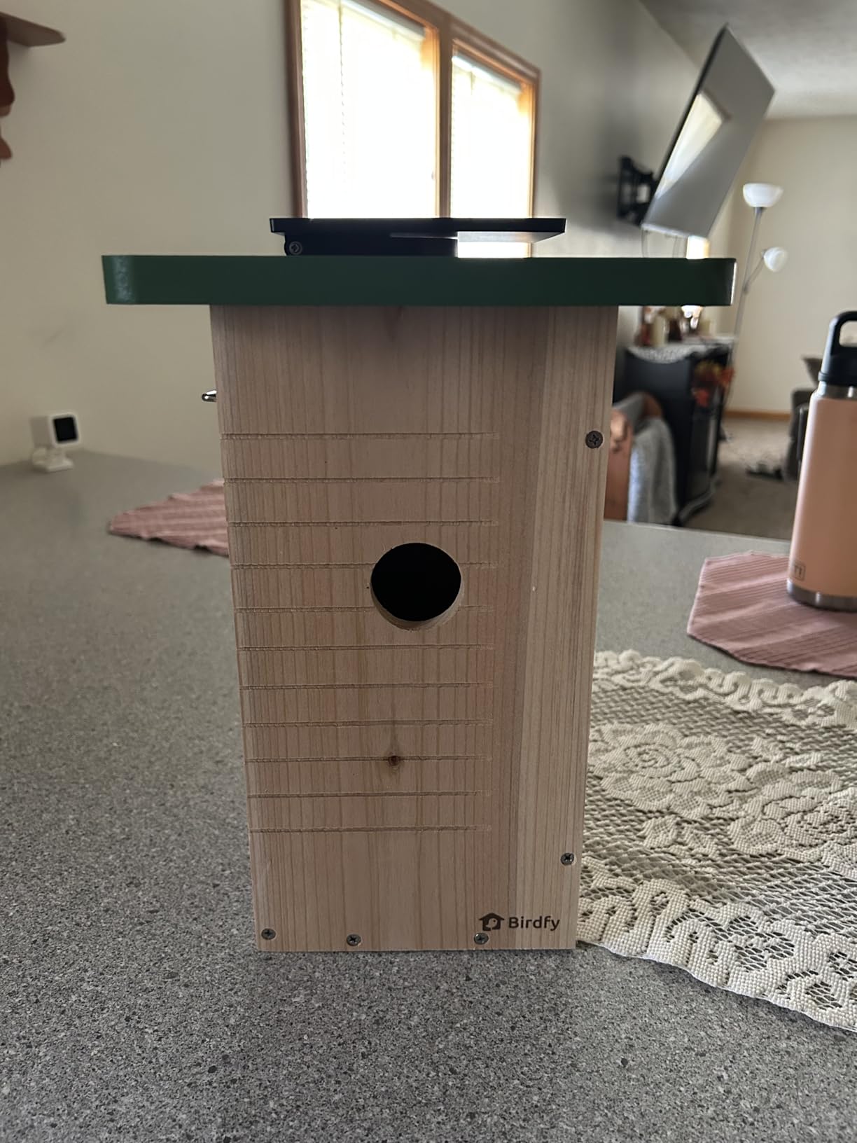 Birdfy Smart Bird House with Camera Solar Powered, 1080HD Live Video & Night Vision for 24/7 Nesting Recording, Auto Detect & Notify, Ideal Nature Gift for Bird Lovers, AI Identify Lifetime Free - Customer Photo 1