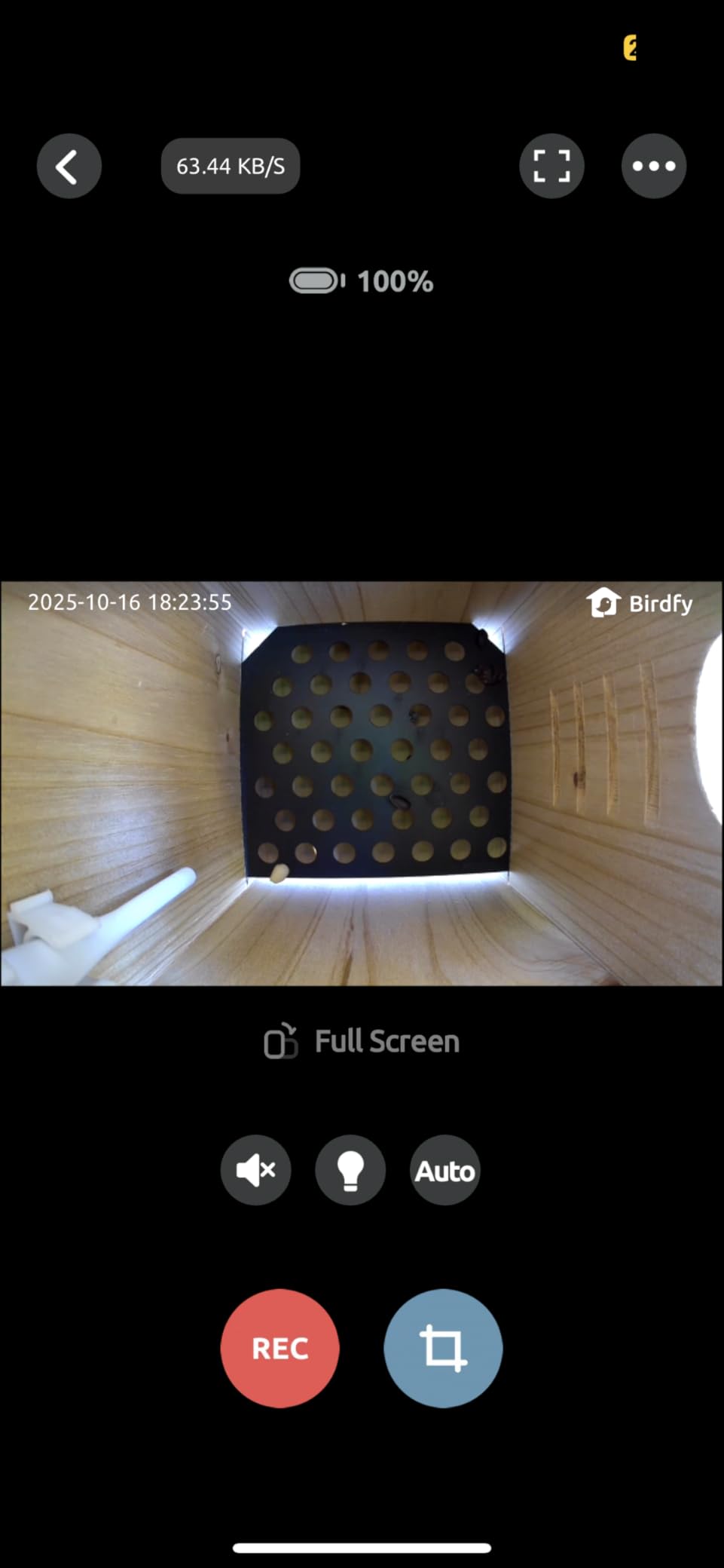 Birdfy Smart Bird House with Camera Solar Powered, 1080HD Live Video & Night Vision for 24/7 Nesting Recording, Auto Detect & Notify, Ideal Nature Gift for Bird Lovers, AI Identify Lifetime Free - Customer Photo 2