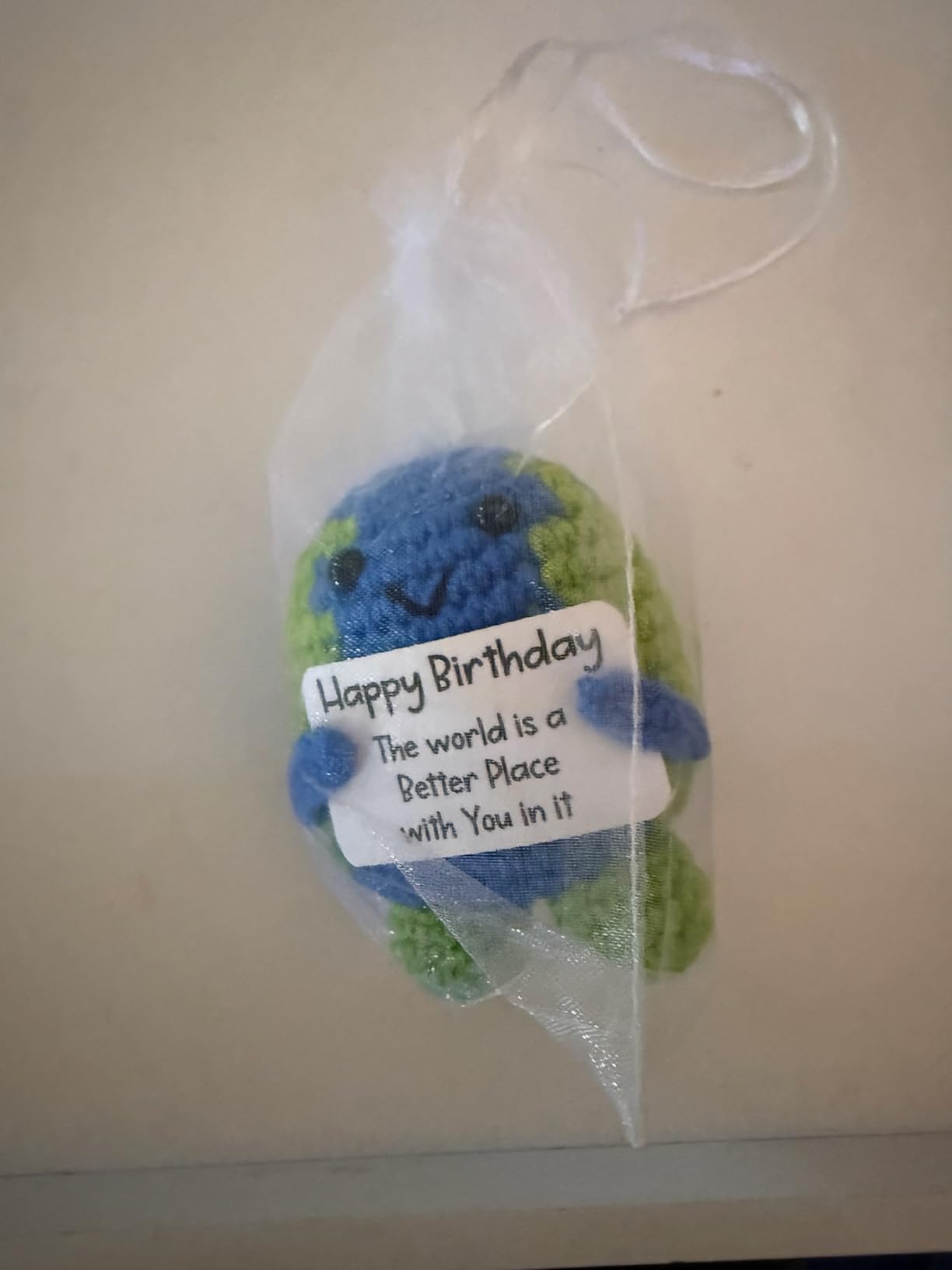 Earth Day Gifts for Women Men, There is No Planet B Handmade Crochet Earth Decor, Environmental Science Teacher Presents, Save The Planet Inspirational Gift, Eco Friendly Classroom Decor - Customer Photo 1