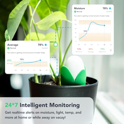 Flora Pod AI-Powered Smart Plant Monitor | for Indoor or Outdoor Plants | Personalized Alerts for Moisture, Temperature, Humidity, and Light - Customer Photo 2