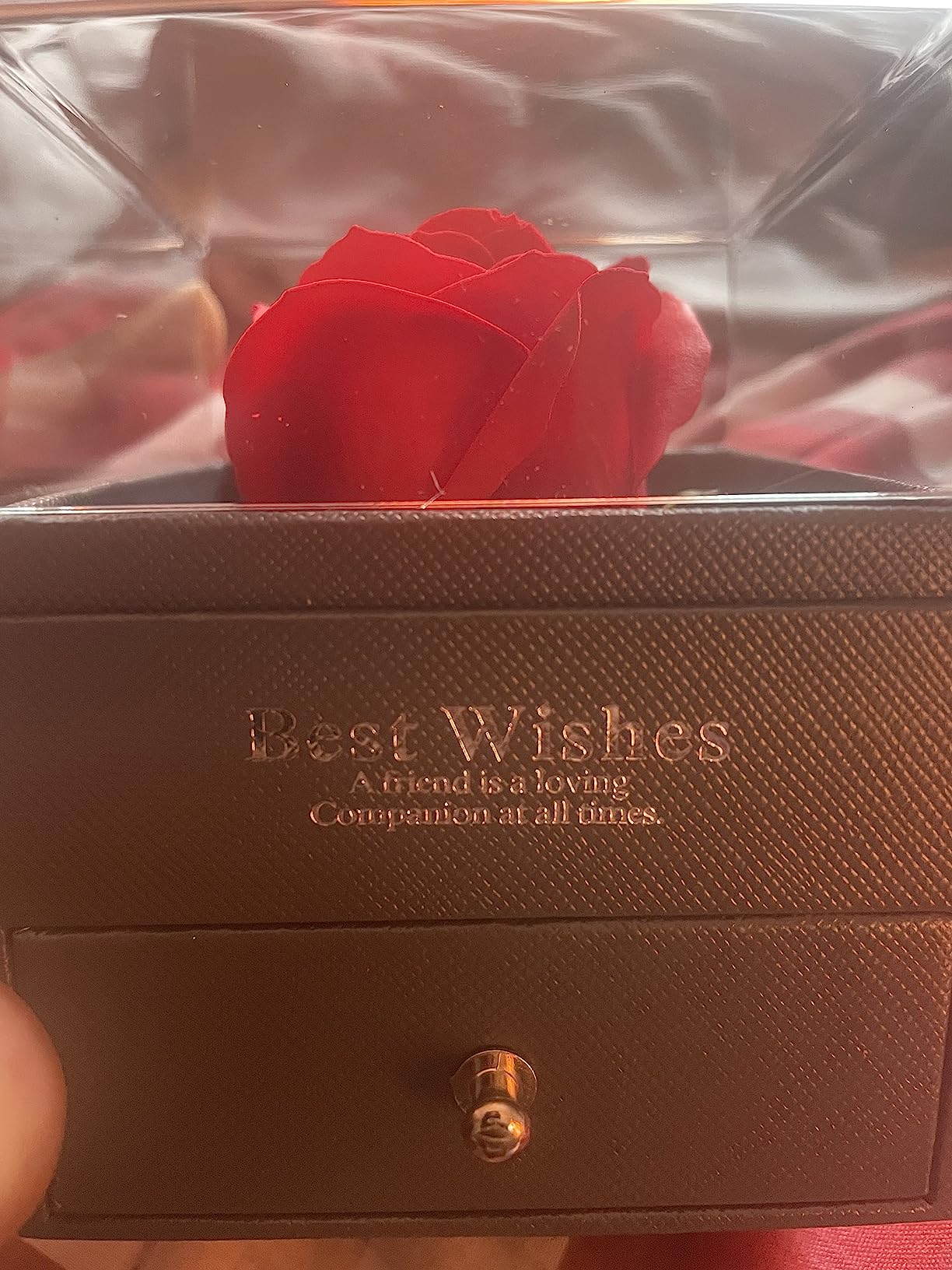 Hicarer Valentine Necklace Gift for Girlfriend I Love You in 100 Languages Projection Necklace Heart Pendant with Preserved Red Rose Flower in Box for Women Mom Wife on Anniversary Birthday - Customer Photo 1