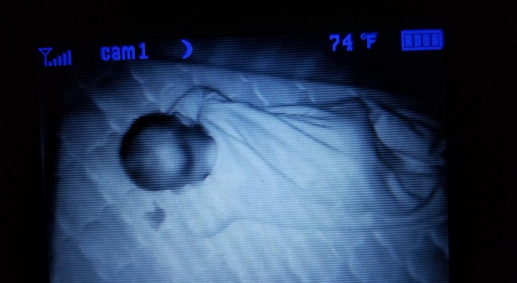Newton Baby Crib Mattress & Toddler Bed, Breathable & Washable - White customer photo 2