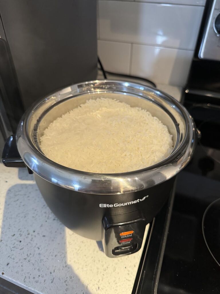 Elite Gourmet ERC006SS 6-Cup Electric Rice Cooker with Stainless Steel Inner Pot, Makes Soups, Stews, Porridges, Grains and Cereals, 6 cup (3 cups uncooked), Black customer photo 2