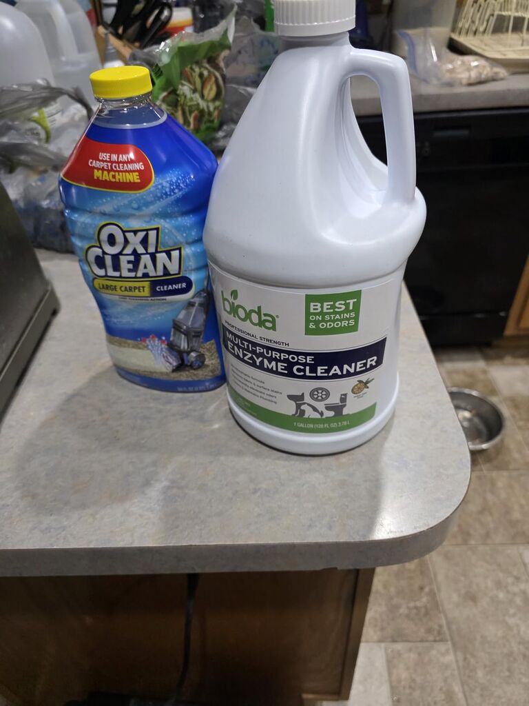Bioda Multi-Purpose Probiotic Enzyme Cleaner and Deodorizer, 1 Gallon | Enzyme Cleaner, Trash Can Deodorizer, Pet Stains and Odors, Drains, Floors, Bathrooms, Toilets, Made in USA customer photo 2