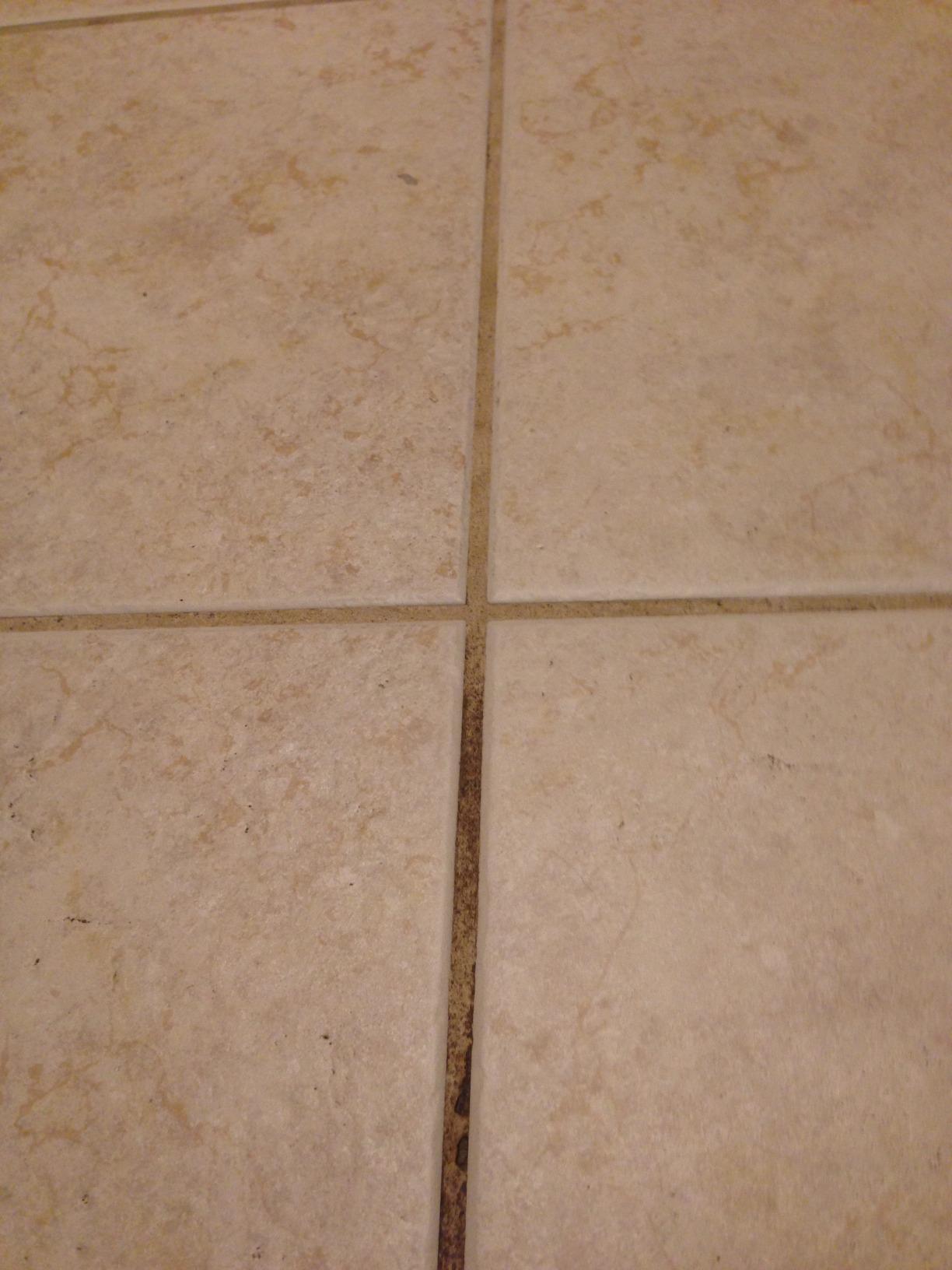 McCulloch MC1275 Heavy-Duty Steam Cleaner, 45 Minute Runtime, 18 Accessories: Mop Head, Brushes, & More - Built for Home, Tile, Grout, Carpet, Furniture, & Personal Car Detailing customer photo 1