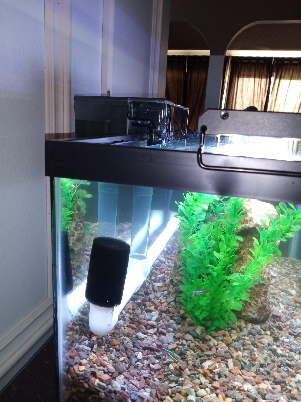 AquaClear 30 Power Filter, Fish Tank Filter for 10- to 30-Gallon Aquariums customer photo 1