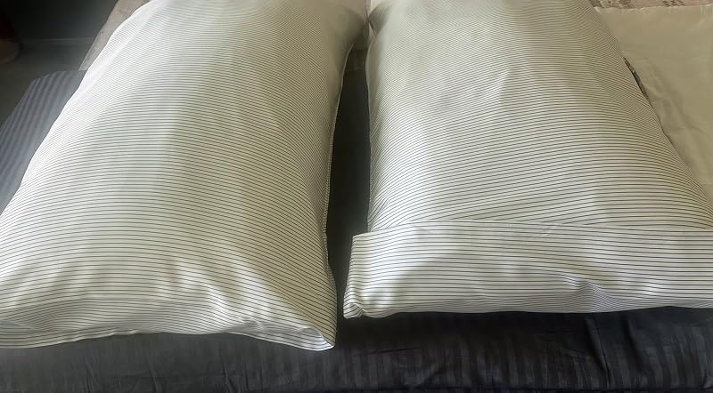 Cozy Earth Luxury Bed Sheet Set, 100% Viscose from Bamboo Fabric | Ultra-Soft and Breathable Bed Sheets with Naturally Temperature-Regulating Fabric, 4-Piece Queen Sheet Set, White customer photo 2