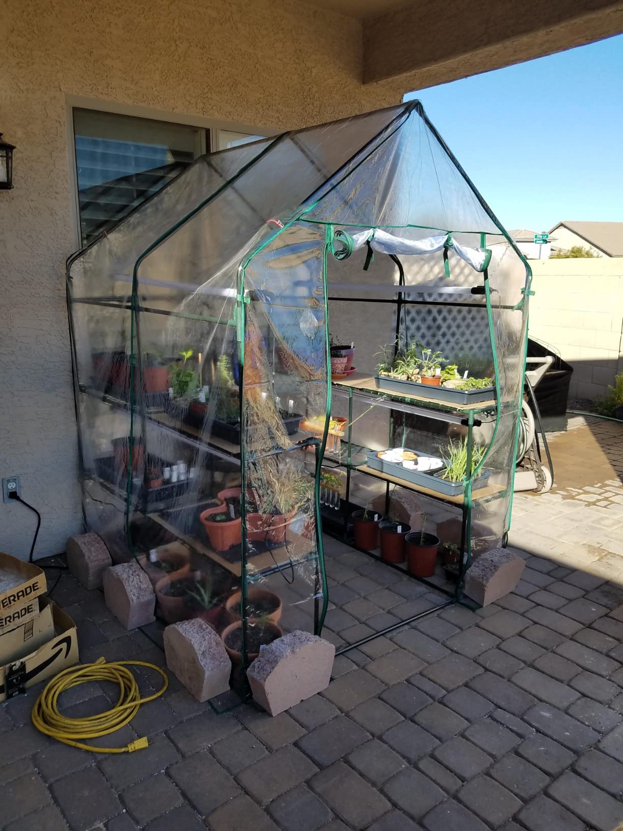 Pure Garden Walk in Greenhouse, 56 x 56 x 76-Inch customer photo 1