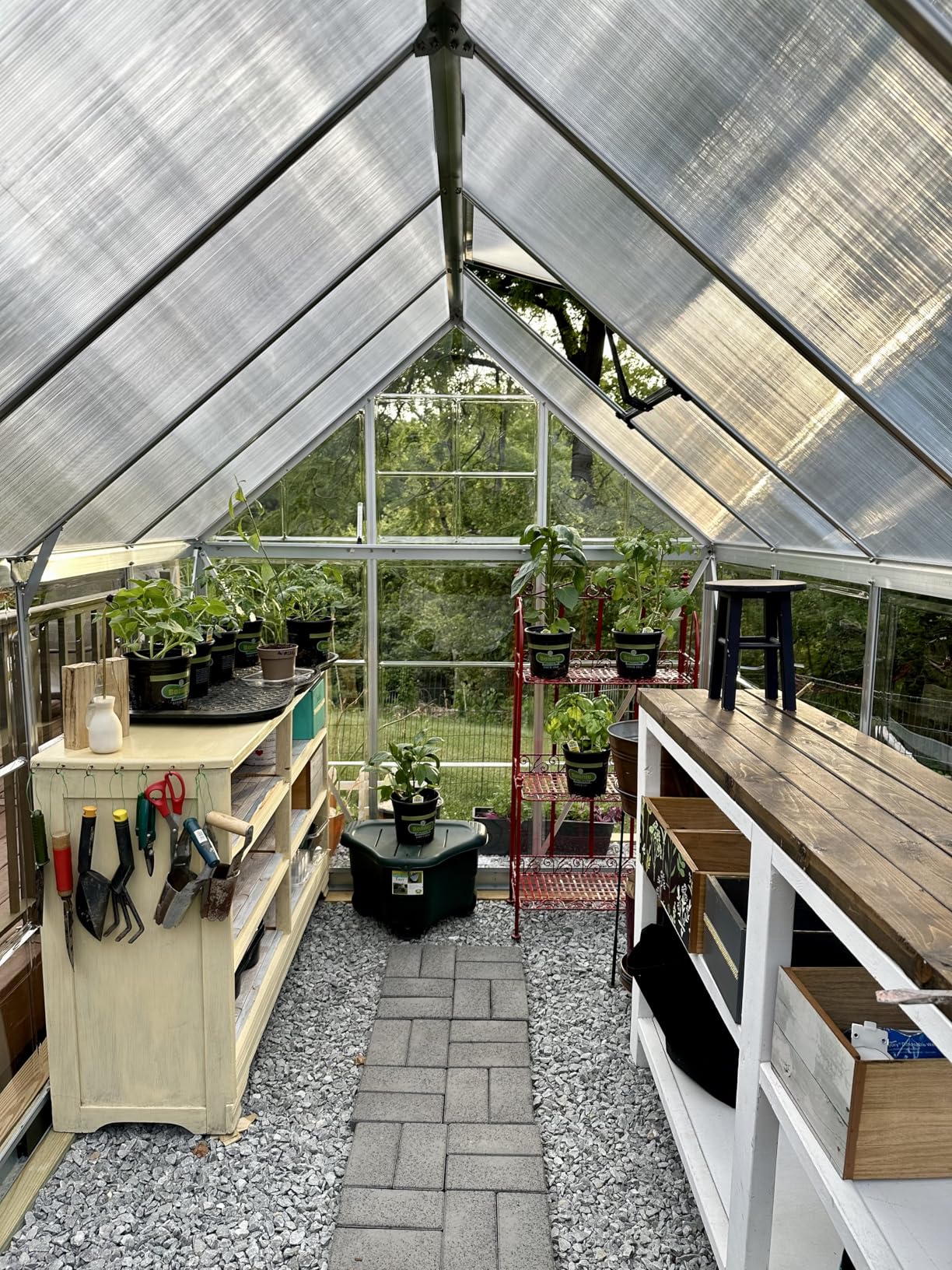 Palram - Canopia Hybrid Lean-To 4' x 8' Polycarbonate Greenhouse, Silver | Outdoor Backyard Home Garden Walk-In DIY Kit, Twin-Wall UV Protected, Heavy-Duty Aluminum Frame, Lockable Door, Roof Vent customer photo 1