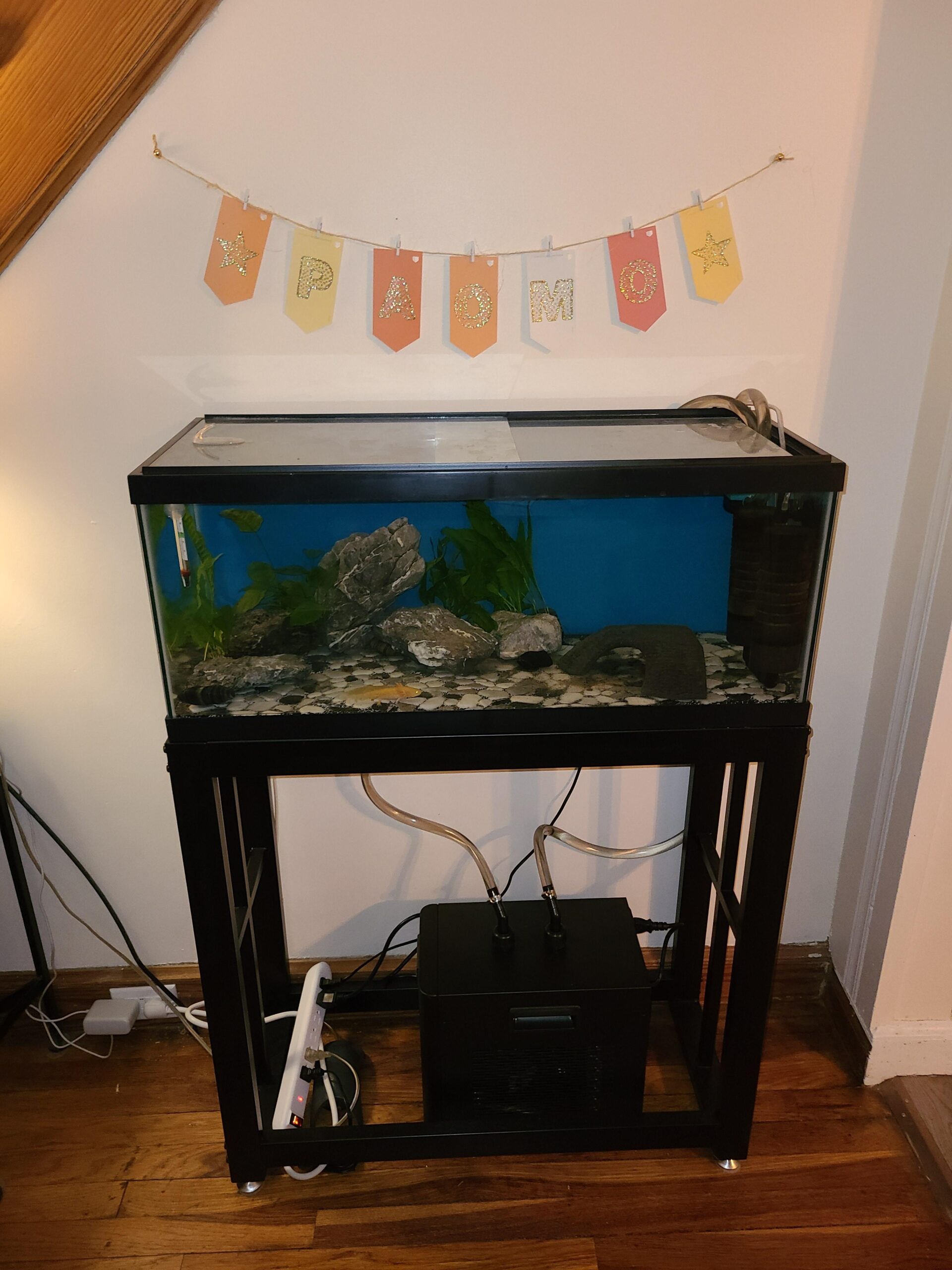 BAOSHISHAN 1/10 HP Aquarium Chiller 42 Gallon 160L Water Cooling System | Quiet Compressor Refrigeration, Includes Pump and Tubing, 110V, Ideal for Hydroponics, Axolotl and Reef Tanks customer photo 1