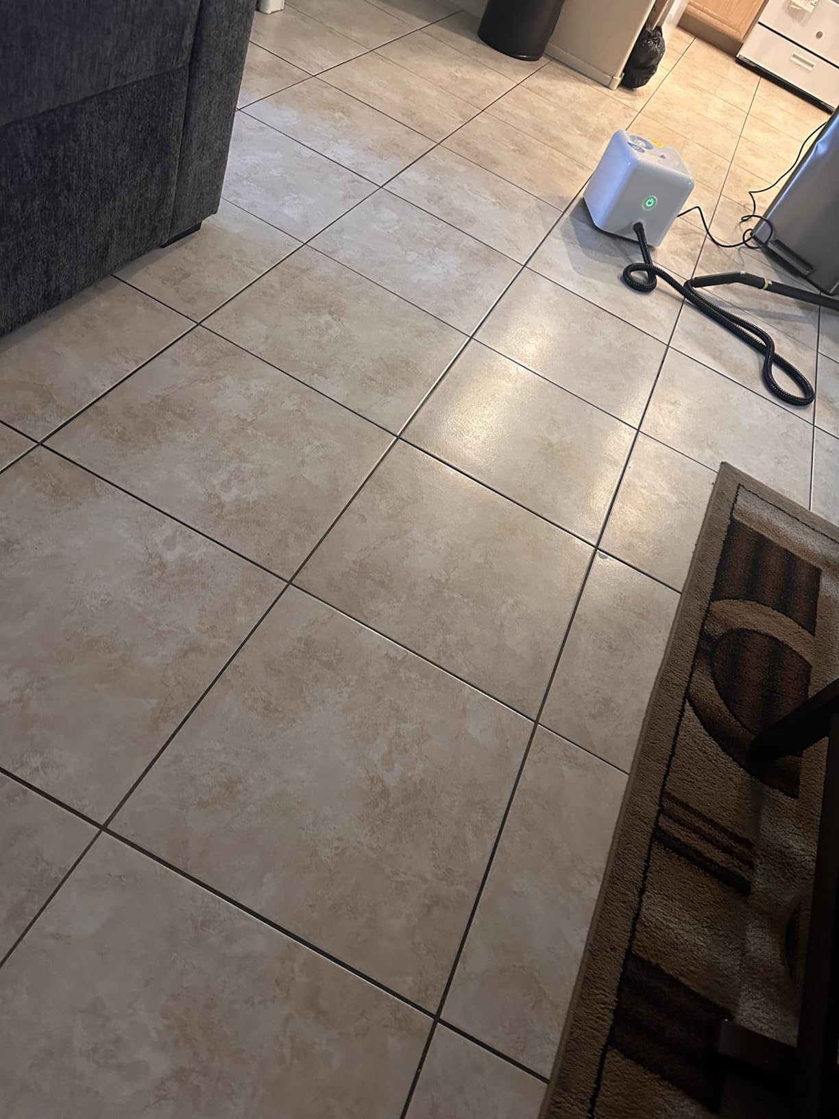 Dupray Neat Steam Cleaner with 17-Piece Kit - Powerful, Chemical-Free Cleaning for Floors, Cars, Tiles, Upholstery, Kitchen, Bathroom Grout, Carpets & More - Kills up to 99.9% of Bacteria & Viruses * customer photo 2