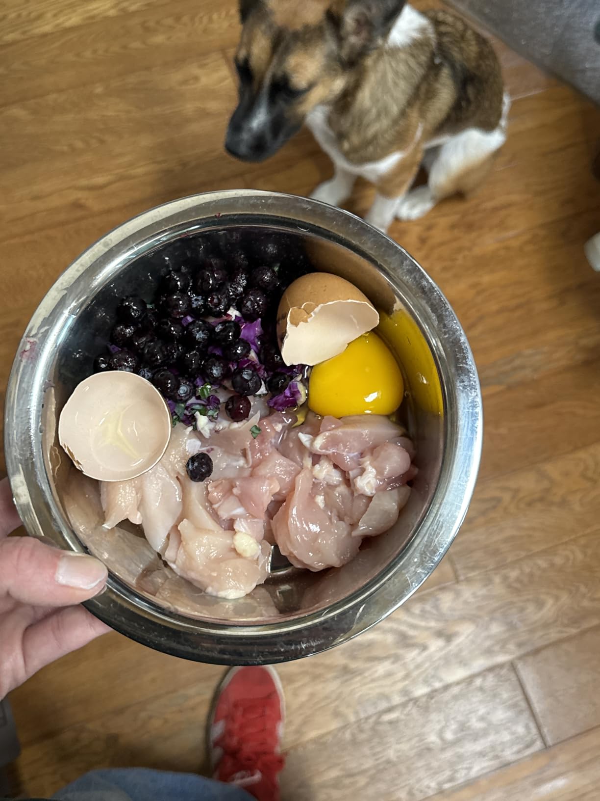 Deep Stainless Steel Anti-Slip Dog Bowls - 2-Pack, 3 Cups customer photo 1