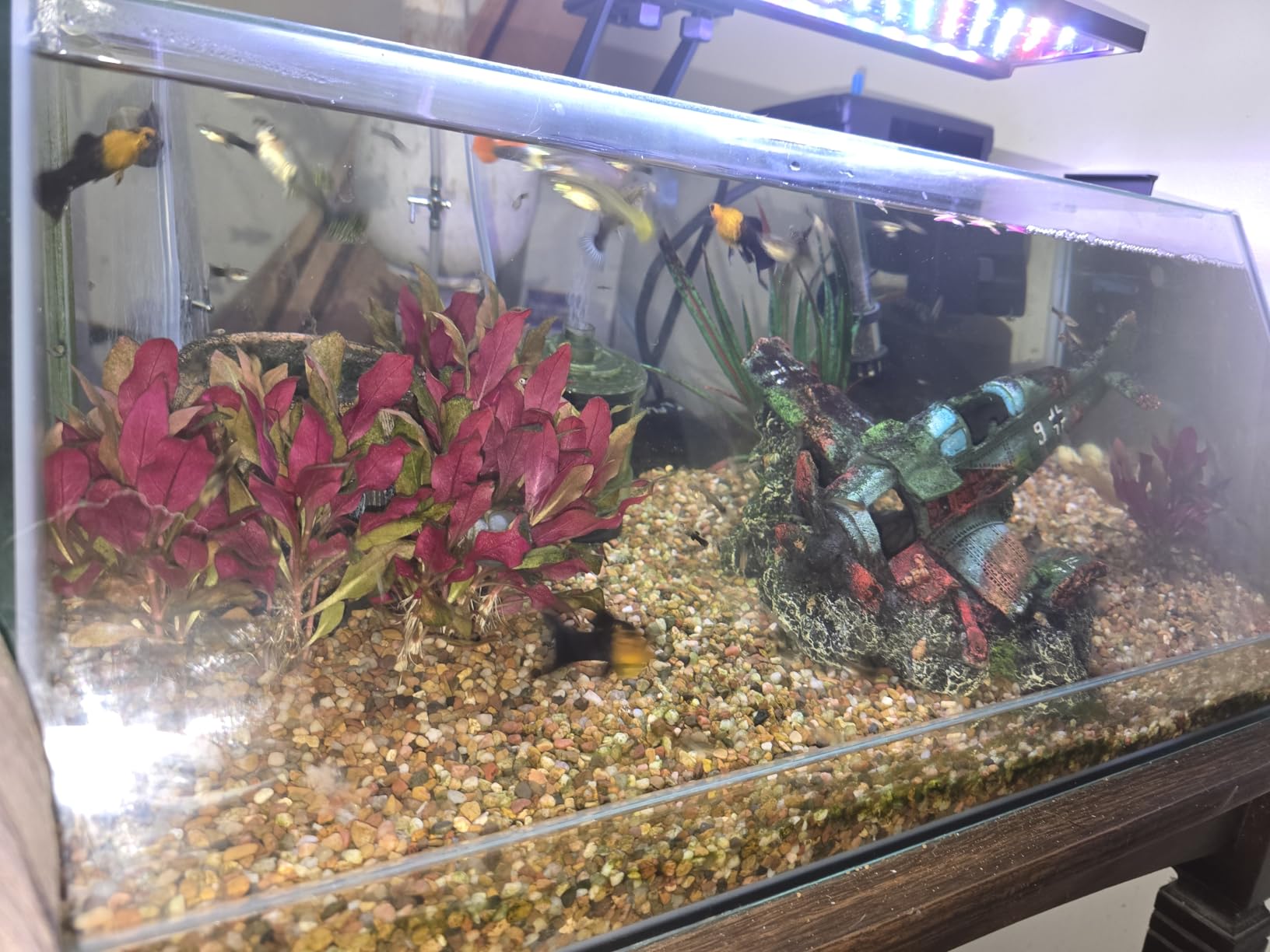 Seachem Tidal Power Aquarium Filter - 35 Gallon Large Fish Tank Filter customer photo 1