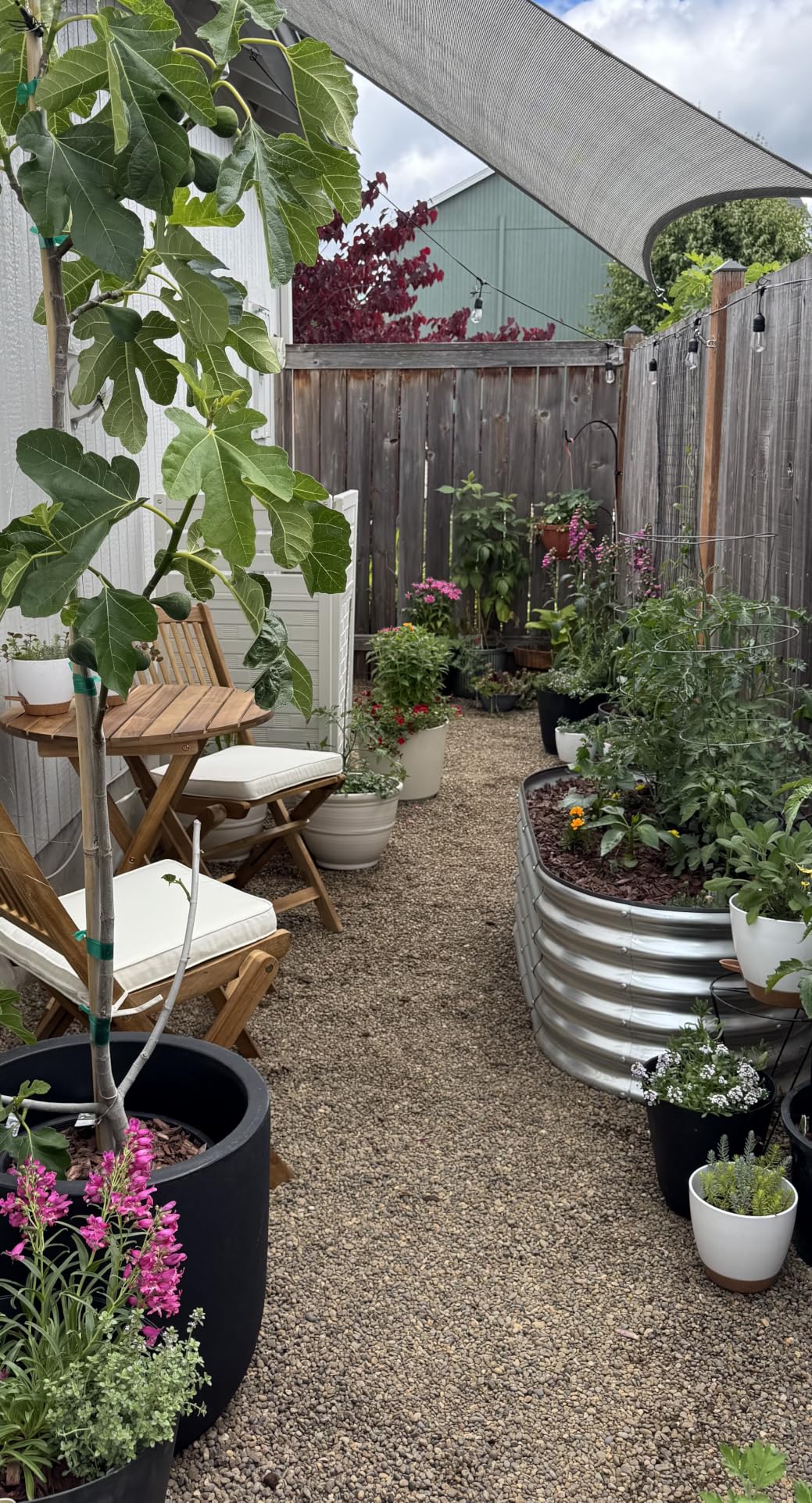 Rain Bird LNDDRIPKIT Drip Irrigation Landscape/Garden Watering Kit with Drippers, Micro-Bubblers, Micro-Sprays customer photo 1