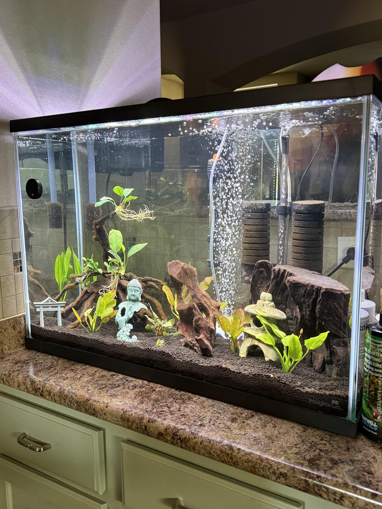 Hygger Aquarium Double Sponge Filter, Comes with 2 Spare Sponges, 1 Bag of Bio Ceramic Media Balls, Quiet Submersible Foam Filter for Fresh Water and Salt-Water Fish Tank (M) customer photo 2