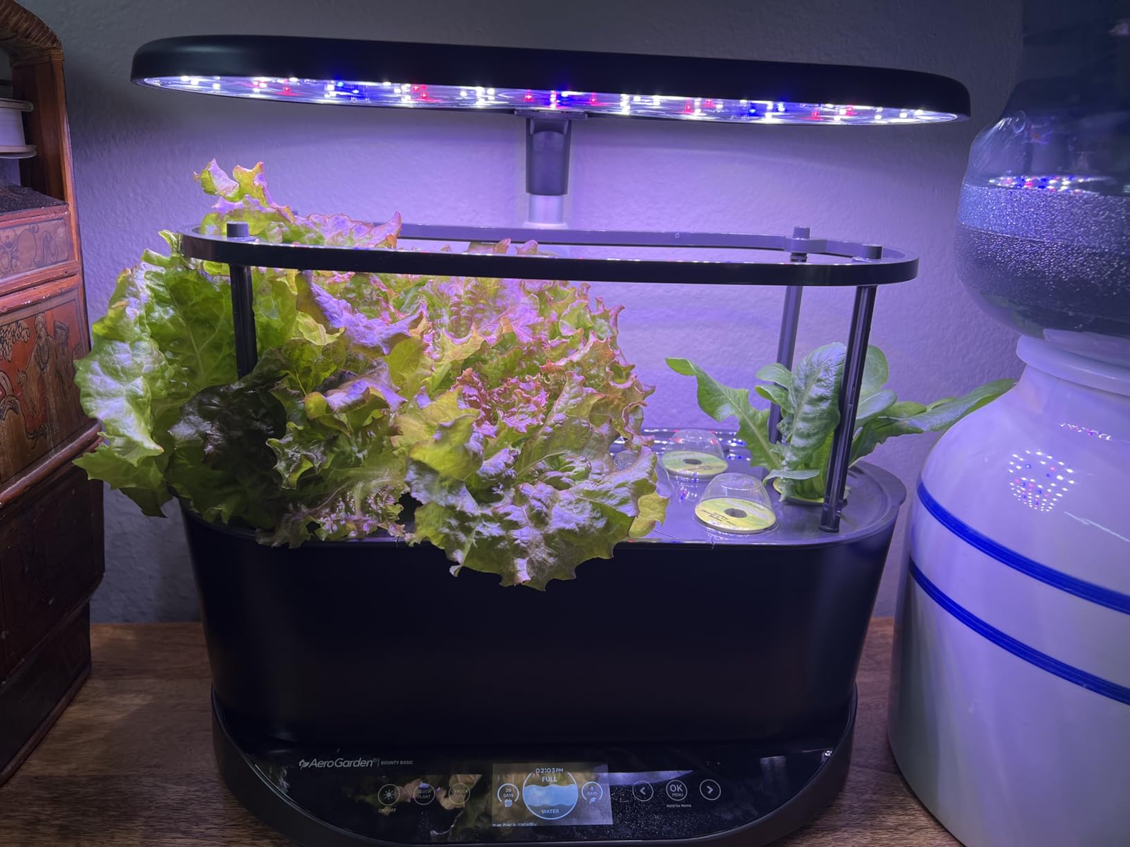 AeroGarden Bounty Basic, Black - Indoor Garden with LED Grow Light customer photo 1