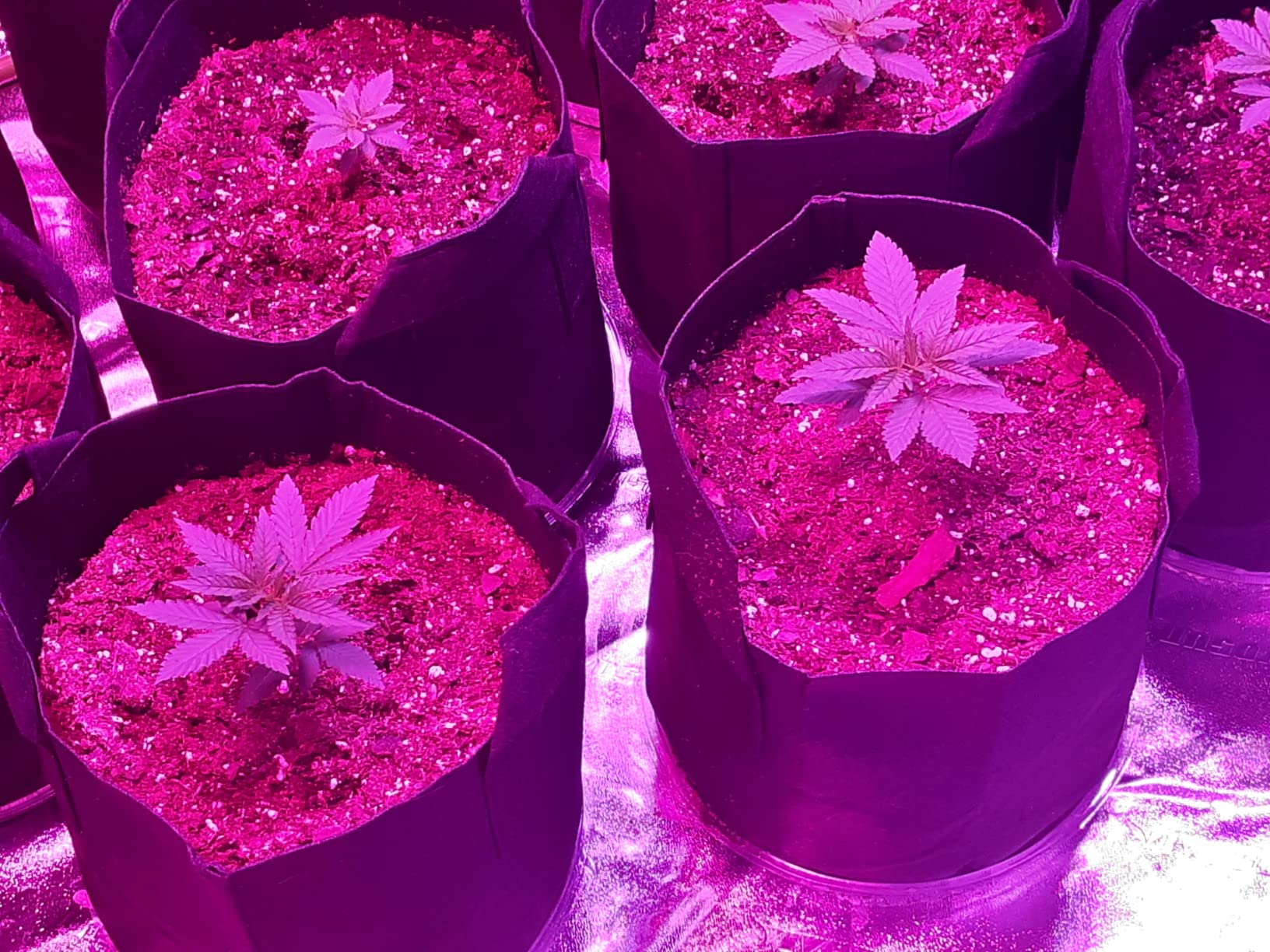 VIVOSUN S105 10x5 Grow Tent, 120