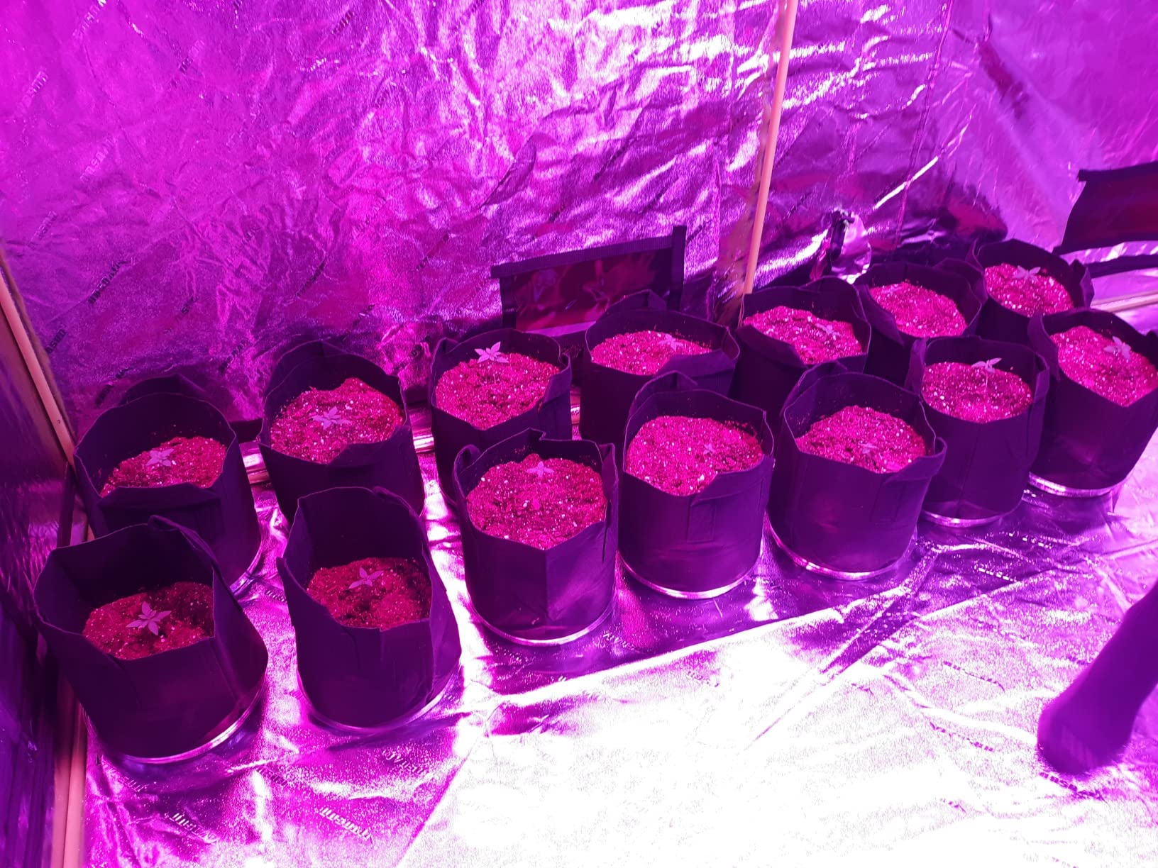 VIVOSUN S105 10x5 Grow Tent, 120