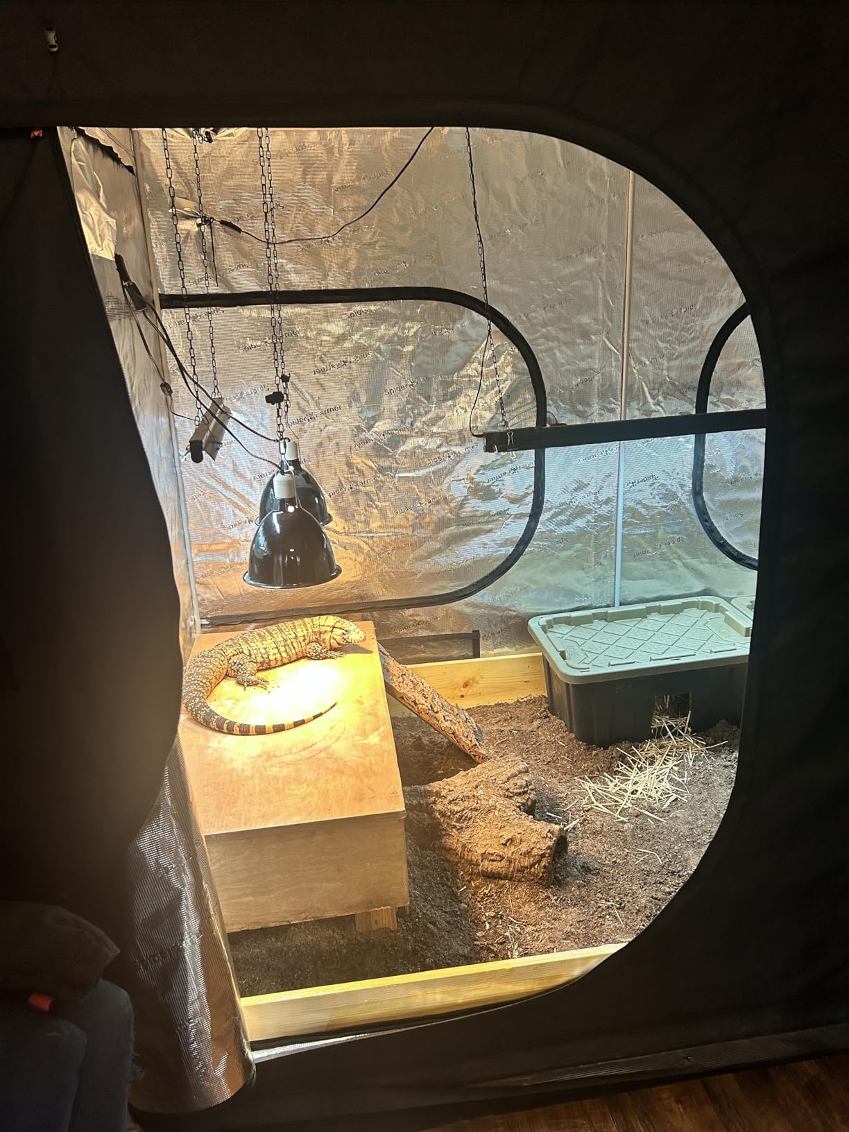 Spider Farmer 4x4 Grow Tent 2026 New, 48