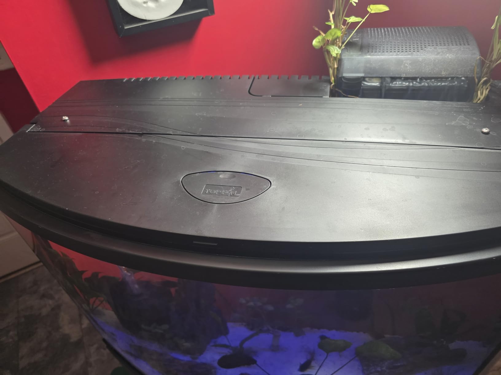 Fluval Plant 3.0 LED Planted Aquarium Lighting, 22 Watts, 15-24 Inches customer photo 1