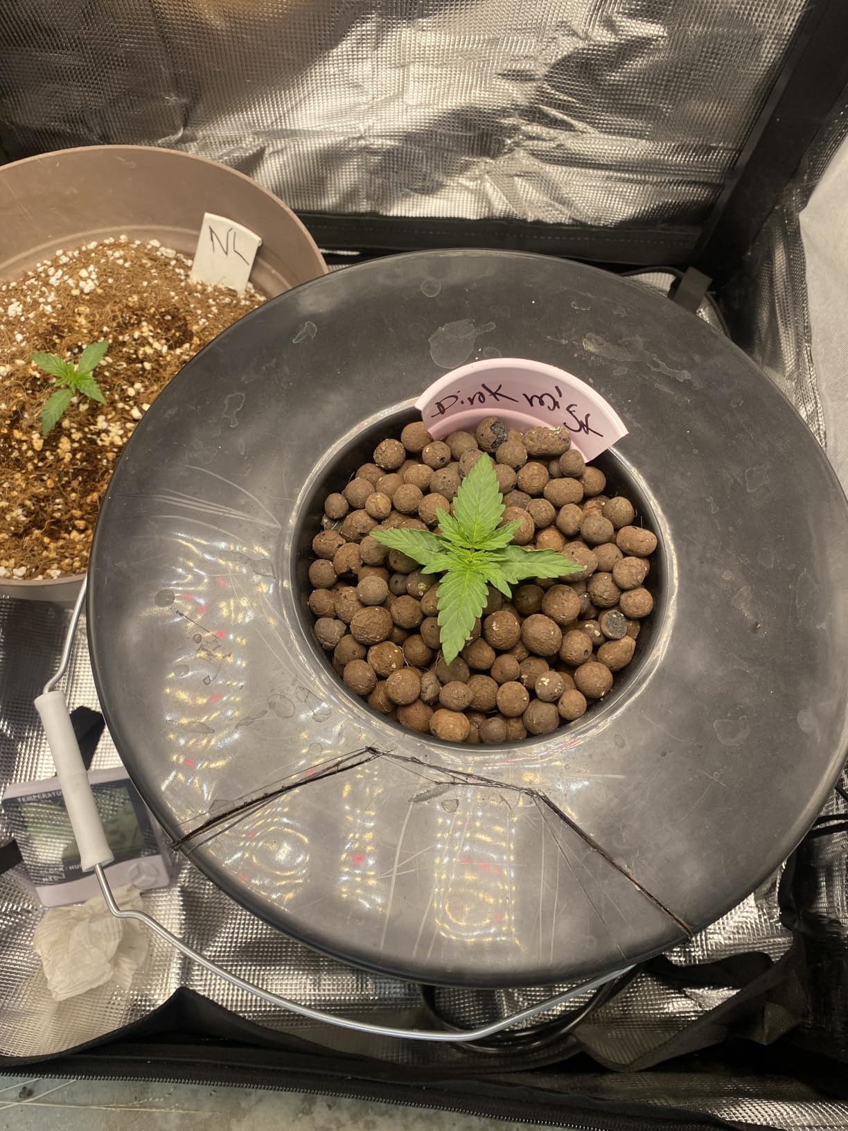 The Atwater HydroPod - DWC Deep Water Culture Garden System Kit - 5 Gallon Bubble Bucket - Bubbleponics - Nutrients & pH Testing/Adjusting Kits are Included! customer photo 1