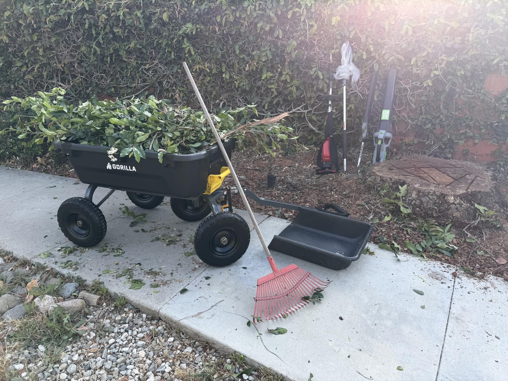 Gorilla Carts 7GCG-NF Heavy-Duty Poly Dump Garden Cart with No-Flat Tires, 7 Cubic Feet, 1200-Pound Capacity, Black, Amazon Exclusive customer photo 1
