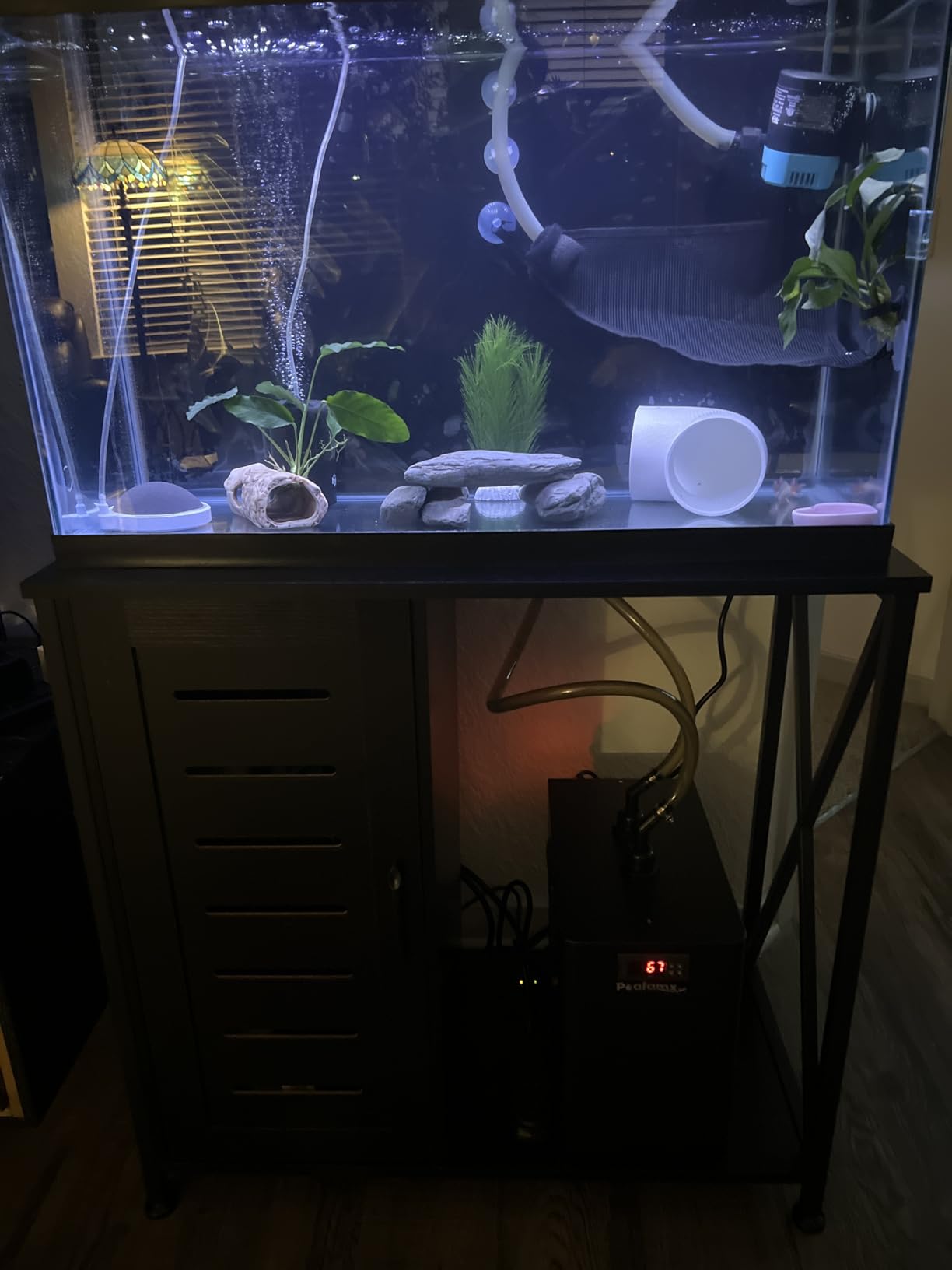 Poafamx 1/3 HP Aquarium Chiller, Quiet Fish Tank Water Chiller 40-80 Gal | Energy-Saving Aquarium Cooler with Pump & Tubing for Large Saltwater Freshwater Axolotl Coral Reef Hydroponic Systems customer photo 1