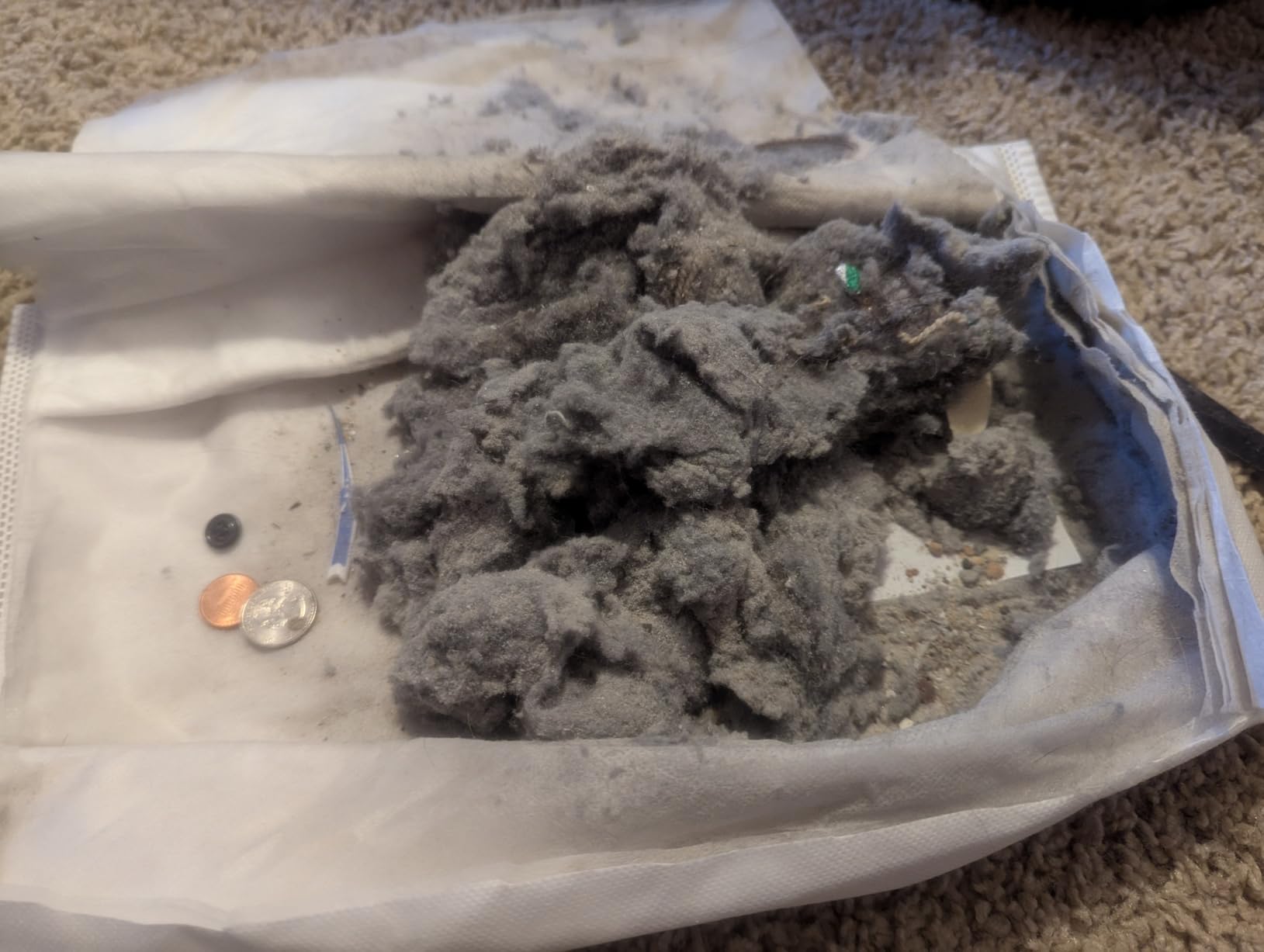Kenmore Pet Friendly Lightweight Bagged Canister Vacuum Cleaner | Extended Telescoping Wand, HEPA, 2 Motors, Retractable Cord, and 4 Cleaning Tools - BC3005 customer photo 2