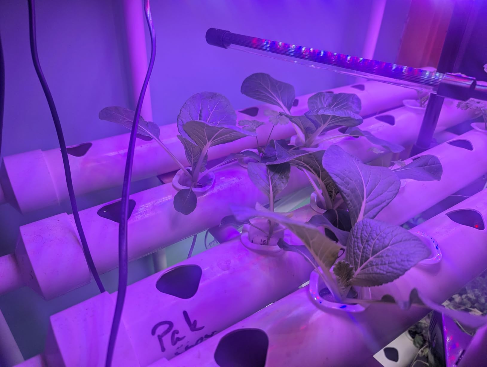 Hydroponics Growing System Kit 36 Plant Sites Food-Grade PVC-U Pipes Hydroponic Grow Kit Gardening System for Vegetables, Fruits, Herb customer photo 1