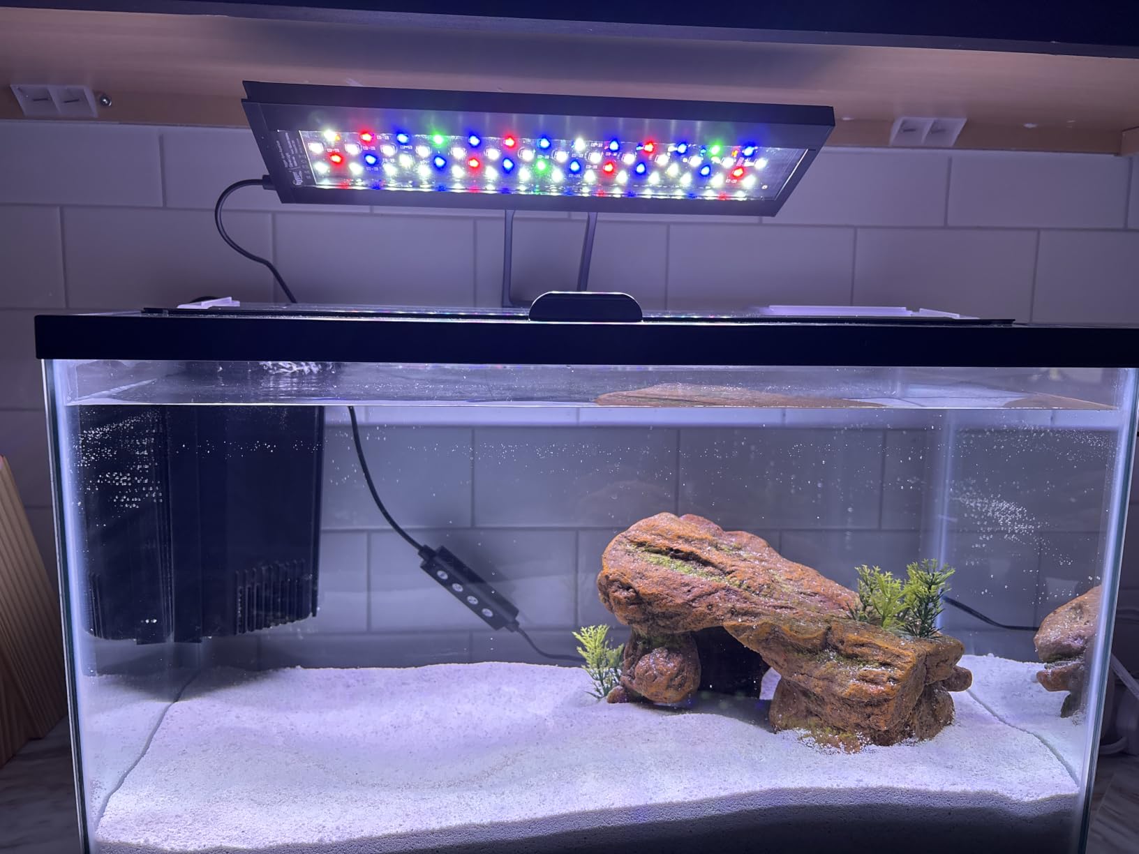 hygger Clip On 24/7 Lighting Aquarium LED Light,Sunrise-Daylight-Moonlight and DIY Mode, Adjustable Timer/Brightness Fish Tank Light with 7 Colors for Planted Tank (14W for 12~20in Tank) customer photo 1