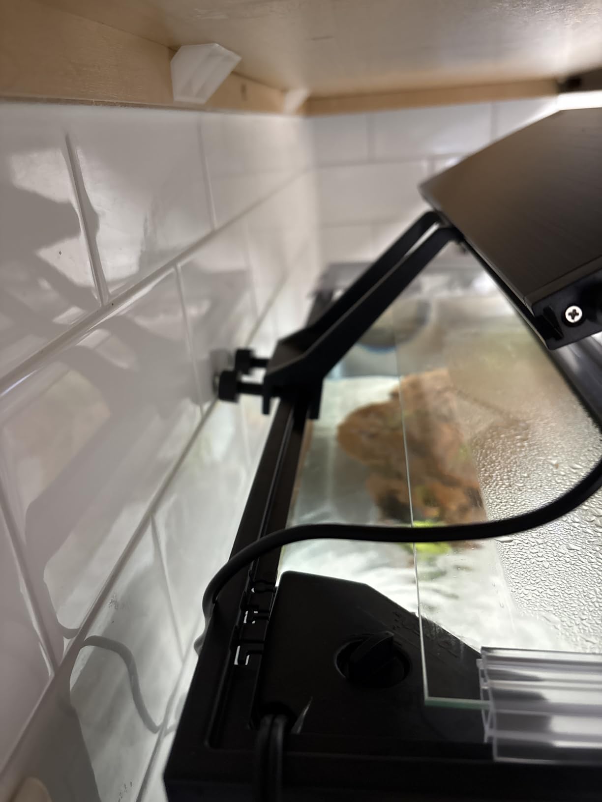 hygger Clip On 24/7 Lighting Aquarium LED Light,Sunrise-Daylight-Moonlight and DIY Mode, Adjustable Timer/Brightness Fish Tank Light with 7 Colors for Planted Tank (14W for 12~20in Tank) customer photo 2