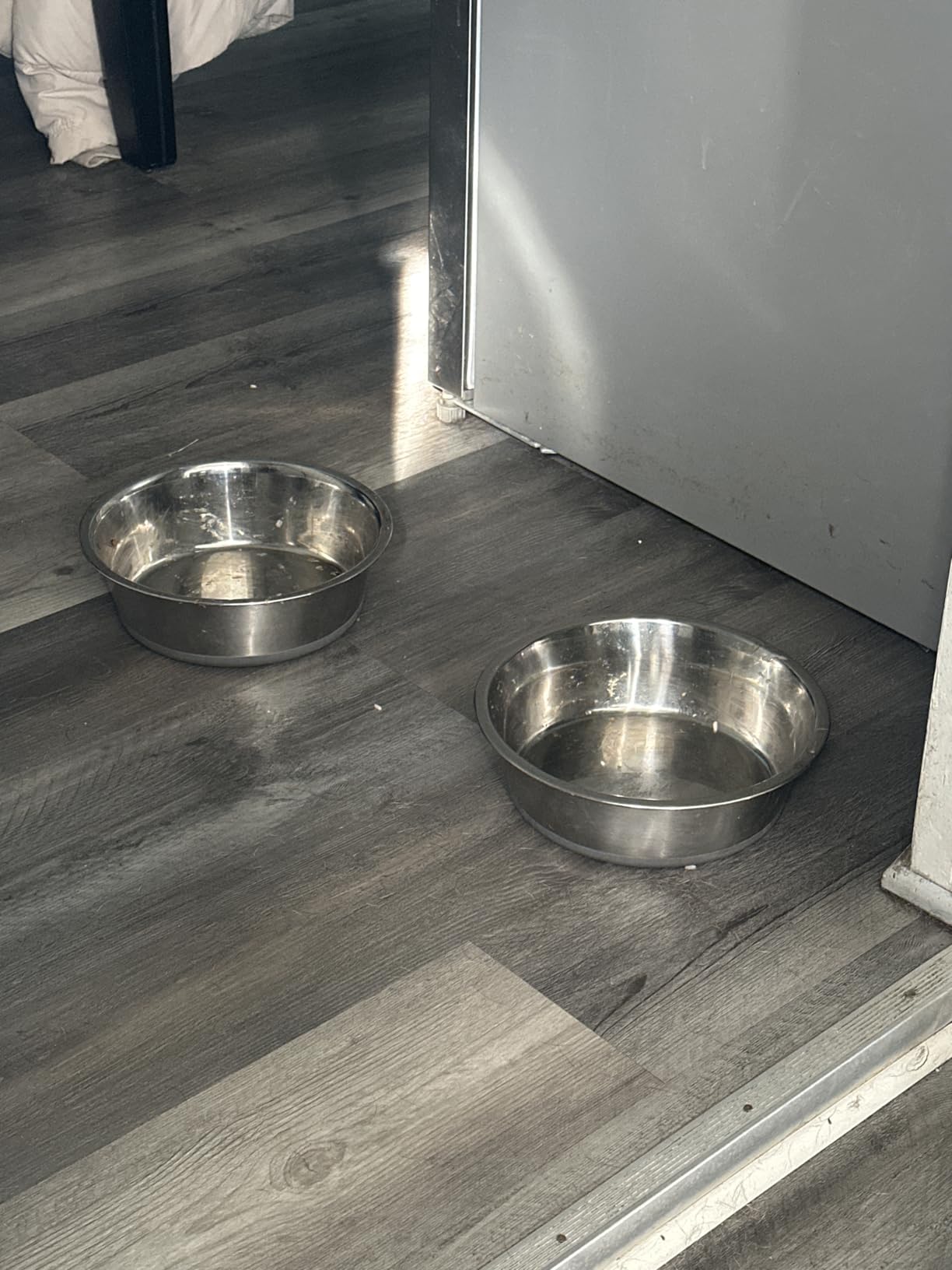 Nonslip Stainless Steel Dog Bowls, 3.8 US Cup, 2 Count | No slide silicone bottom, Dishwasher safe, Easy to clean, Stackable design customer photo 1